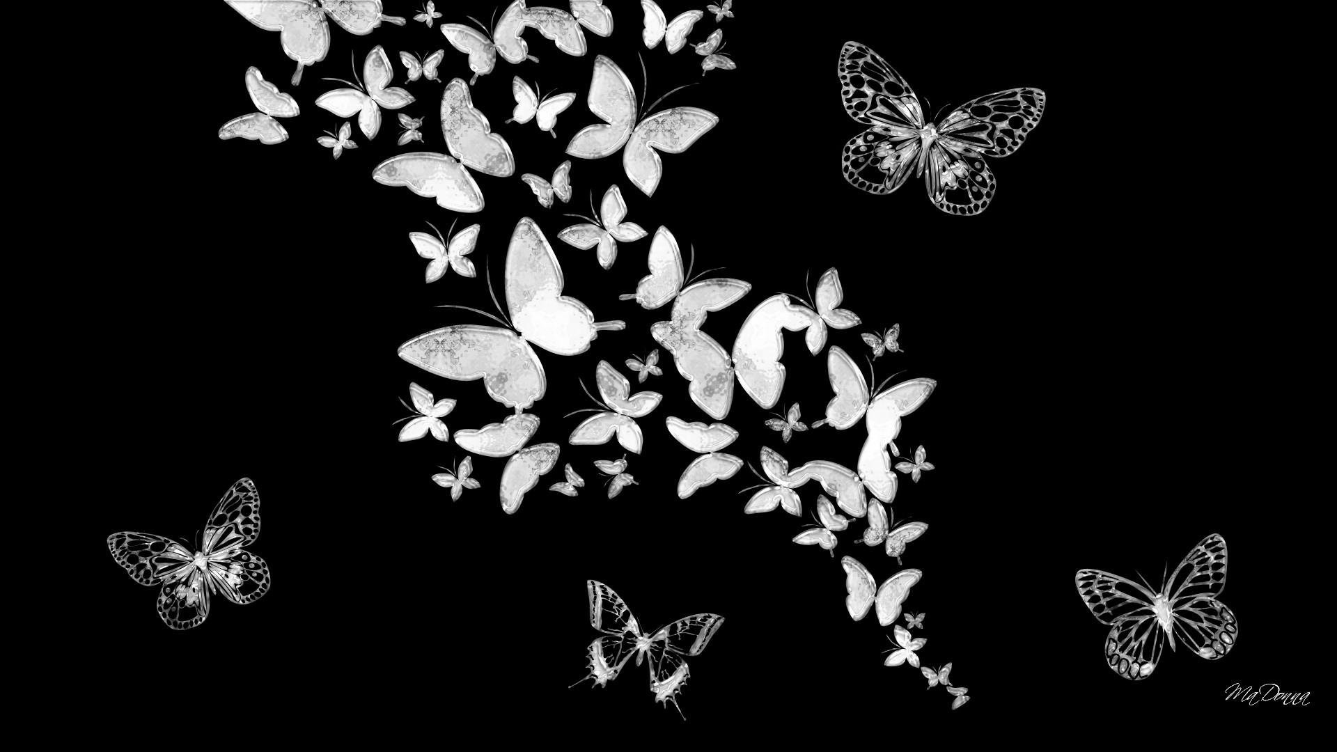 Farfalle bianche, Sfondo nero, Sciame, 16:9 Full HD, wallpaper widescreen