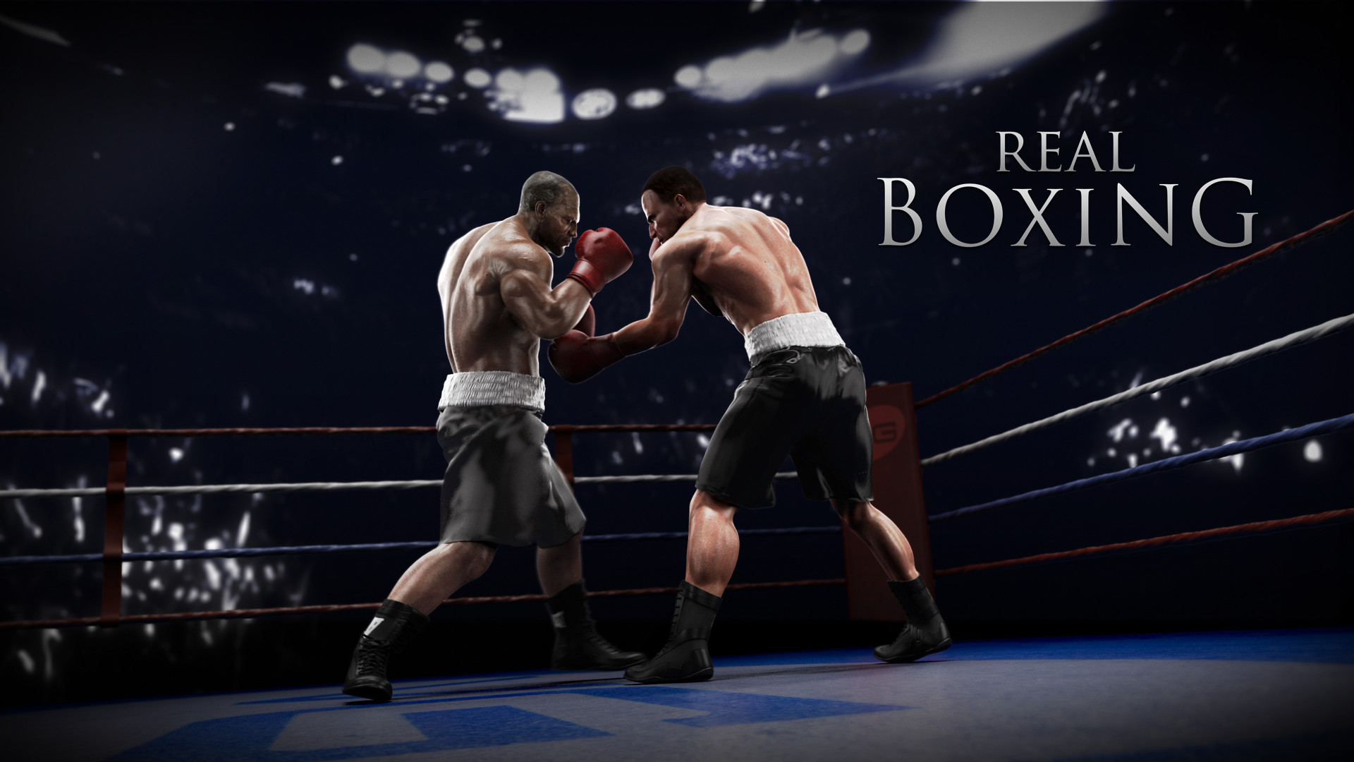 Real Boxing, Videogioco, Ring, Pugilato, 1920x1080, immagine di sfondo
