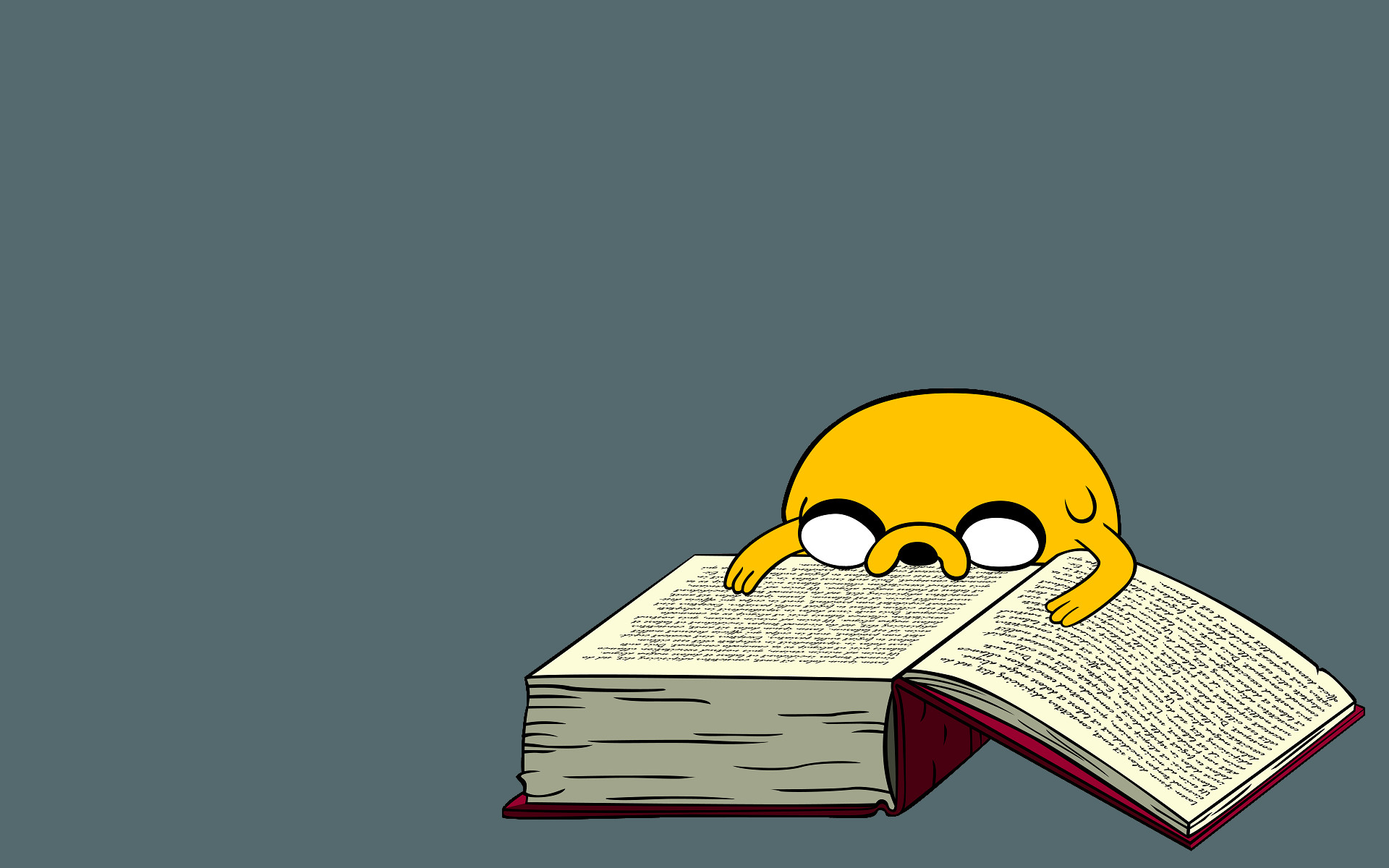 Jake il cane, Adventure Time, Libro, Sfondo grigio, 16:10 Full HD, wallpaper widescreen