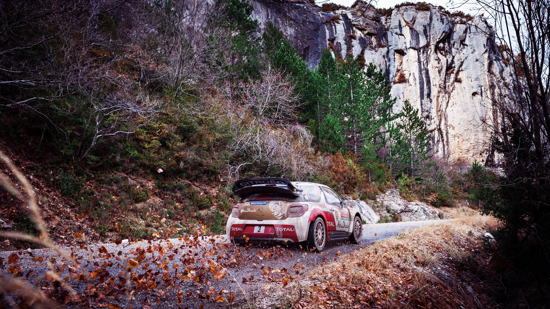Citroën DS3 WRC, Strada di montagna, Foglie, Rocce, 1920x1080, sfondo per PC