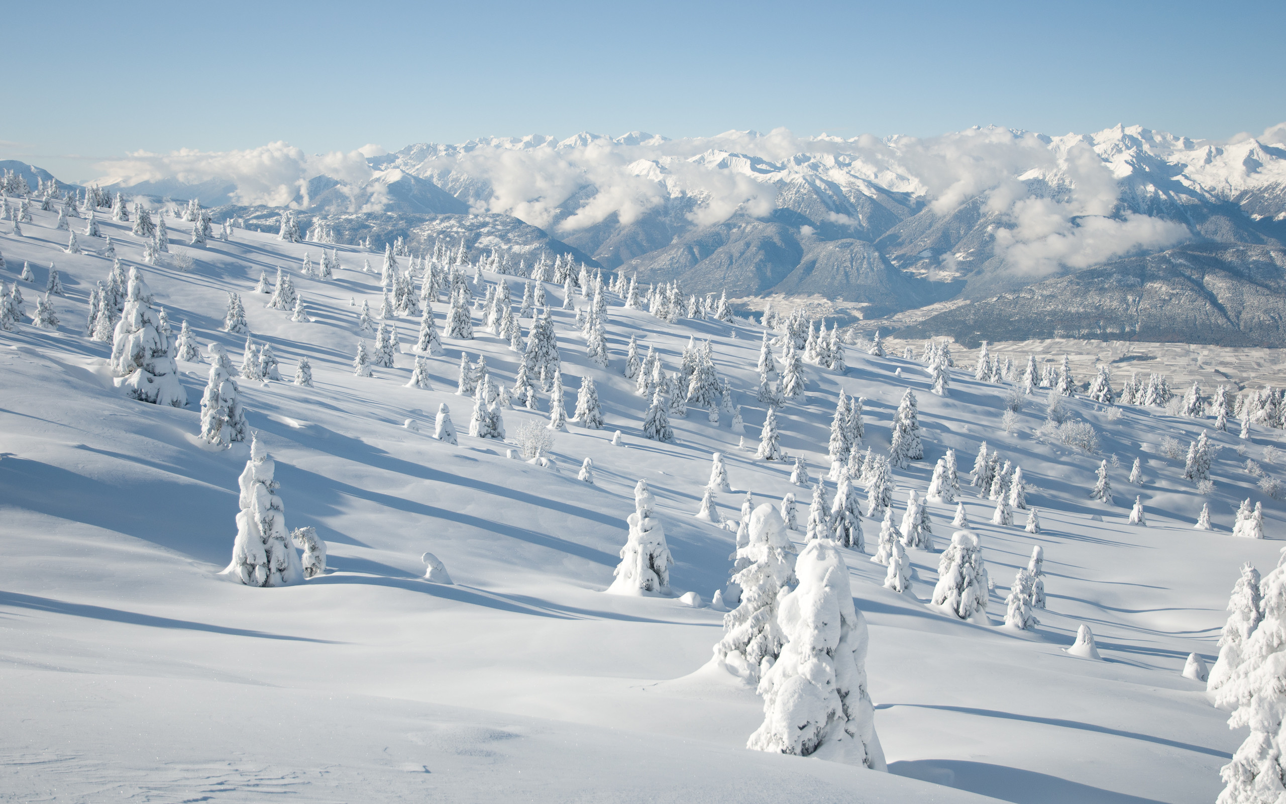 Mostri di neve, Juhyo, Zao, Alberi ghiacciati, Montagne, 2560x1600, immagine di sfondo