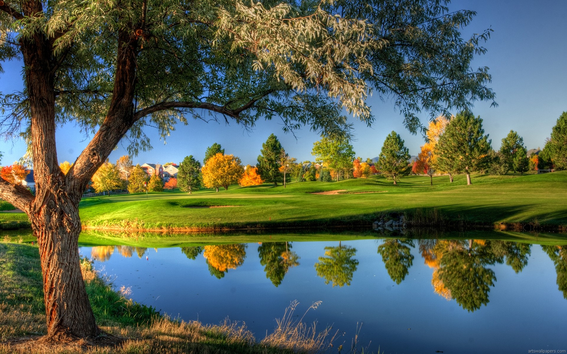 Albero, Laghetto, Campo da golf, Riflesso, Autunno, 1920x1200, sfondo per PC