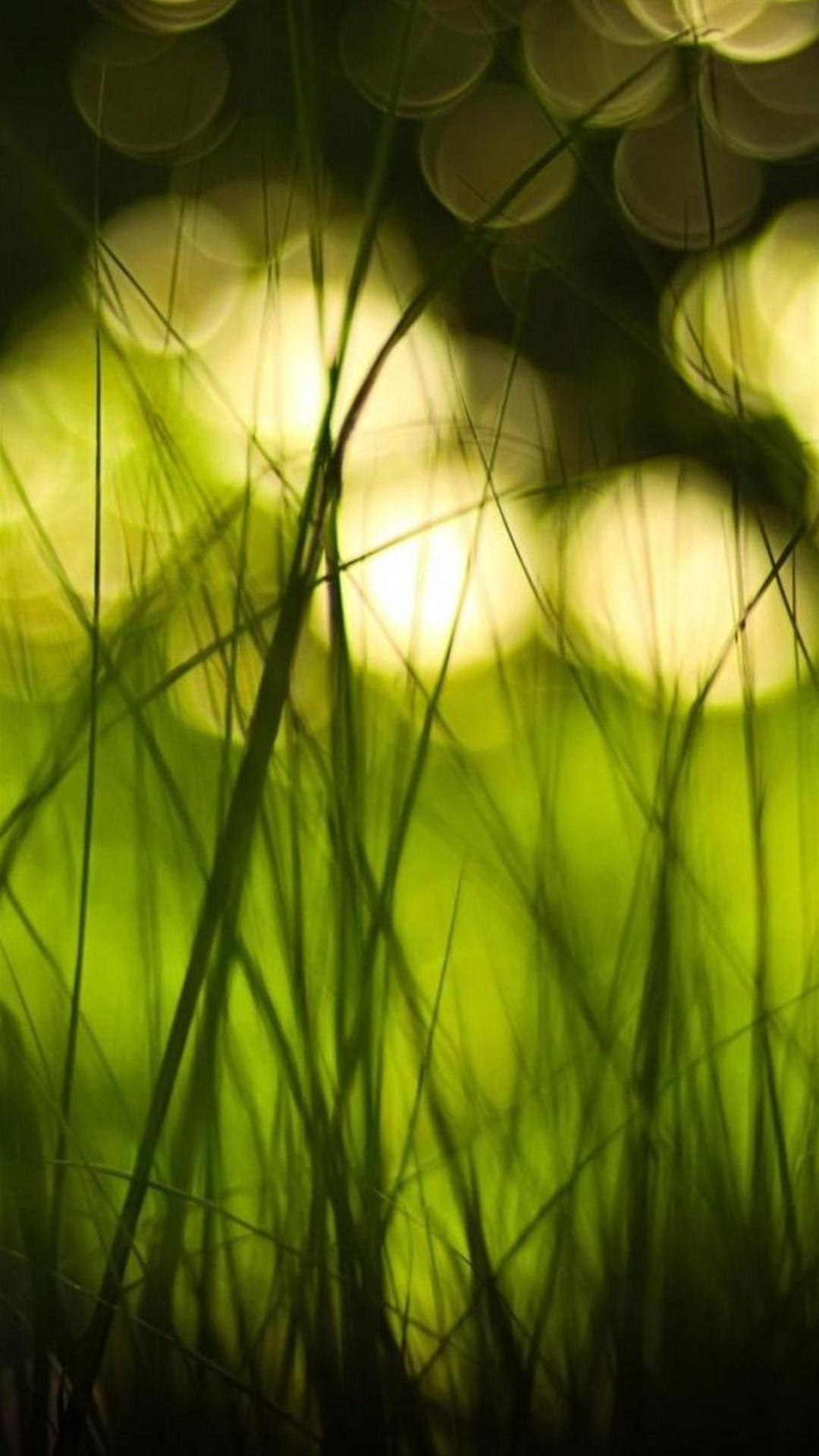 Erba, Bokeh, Controluce, Full HD, sfondo verticale per cellulare