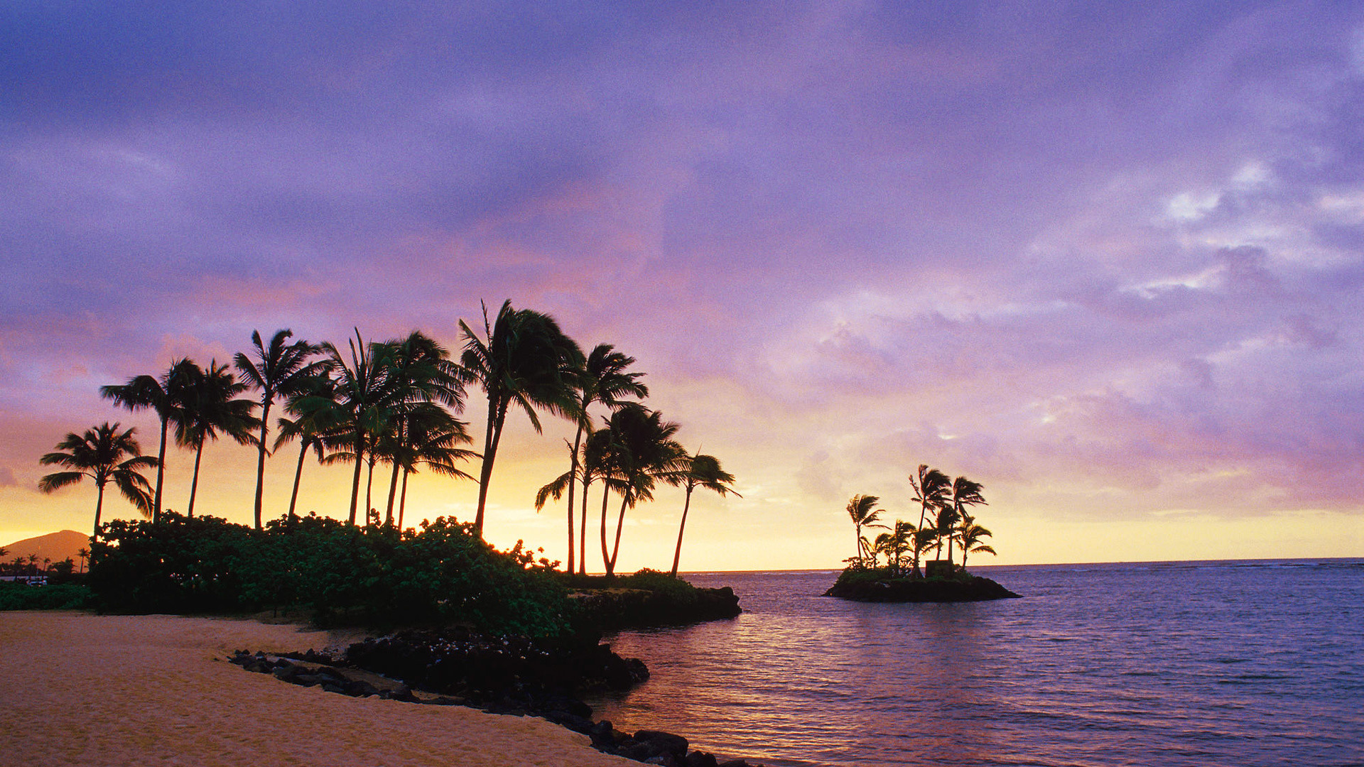 Hawaii, Isolotto, Palme, Tramonto, Full HD, sfondo desktop