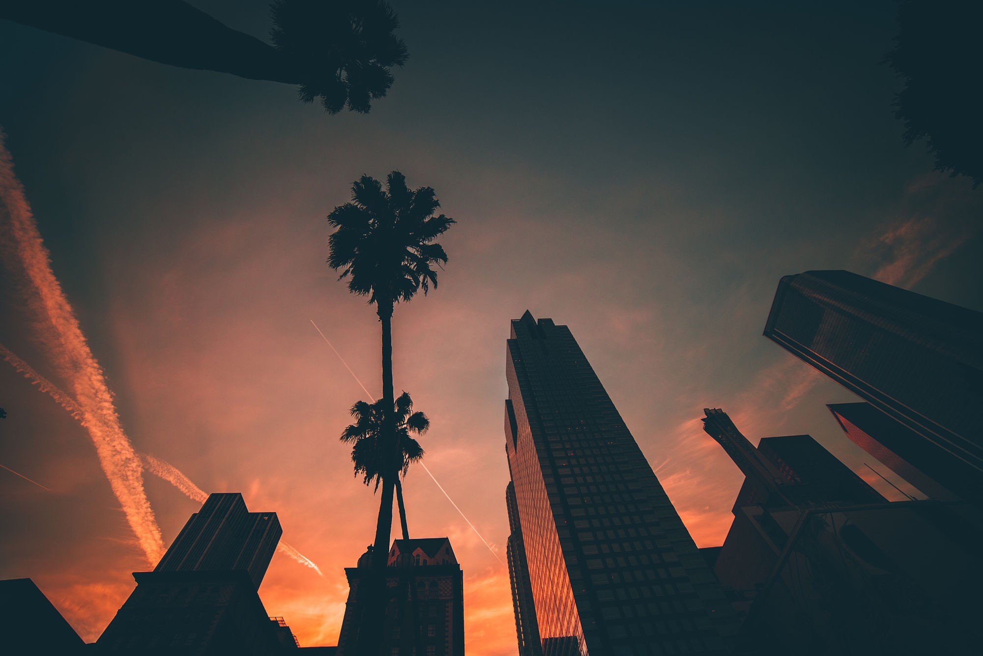 Miami, Palme, Grattacieli, Tramonto, Full HD, wallpaper per portatile