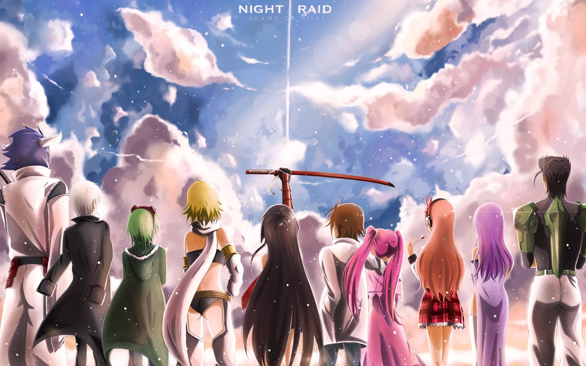 Night Raid, Akame ga Kill!, Cielo nuvoloso, Gruppo di spalle, Full HD, wallpaper per computer