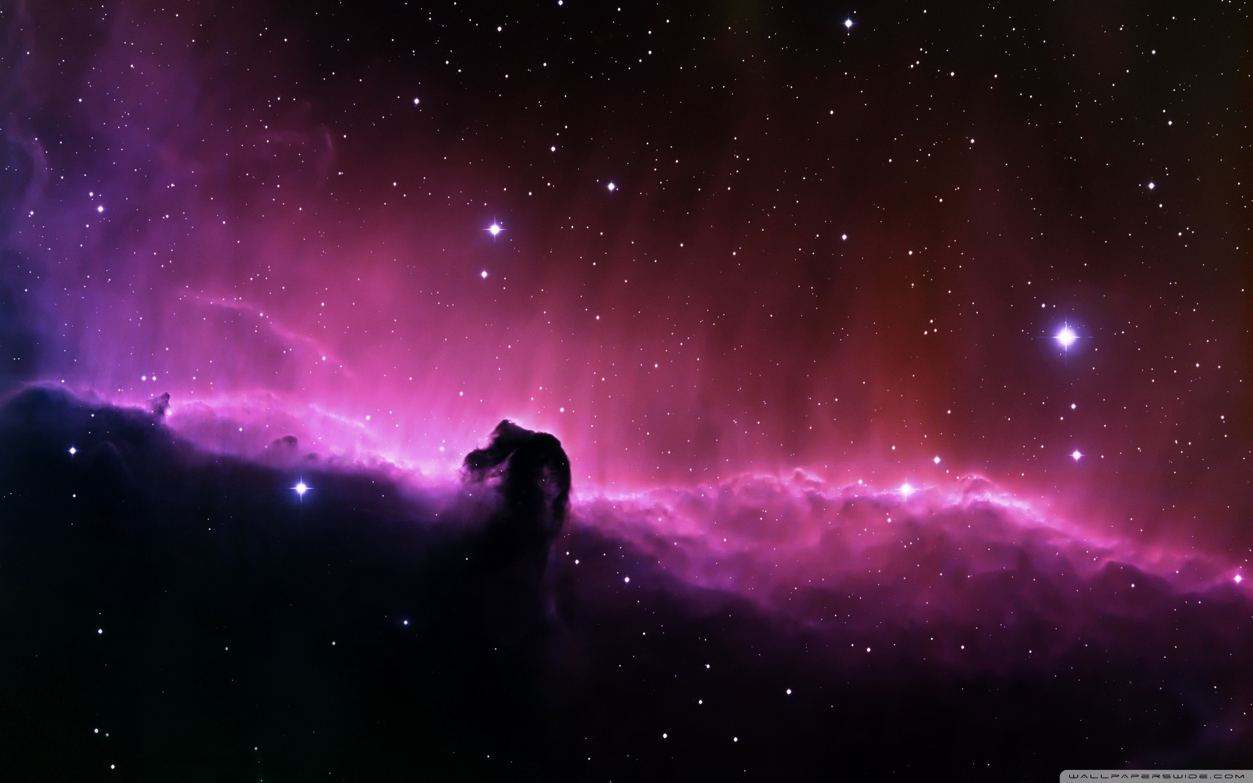 Nebulosa Testa di Cavallo, Orione, Nebulosa oscura, Magenta, 2K, sfondo per PC e portatile