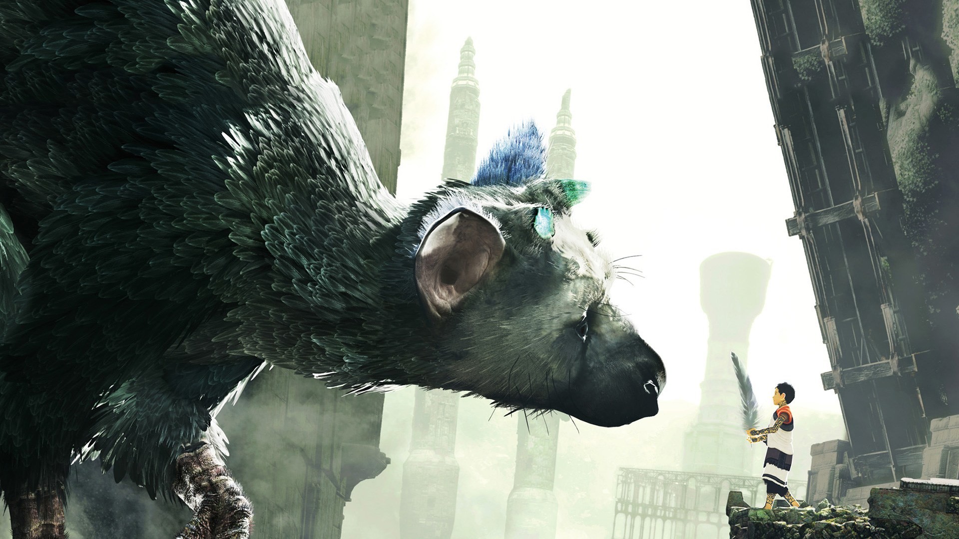 Trico, The Last Guardian, Ragazzo, Scudo a specchio, Full HD, wallpaper per portatile