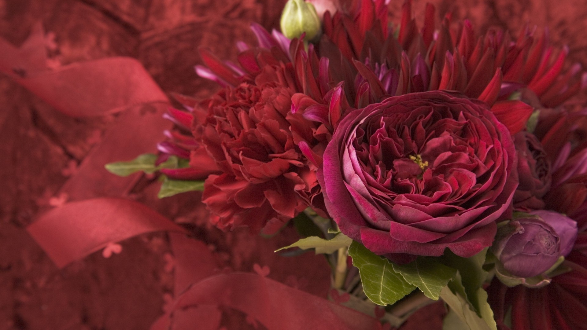 Peonia, Fiori bordeaux, Natura morta, Full HD, sfondo desktop