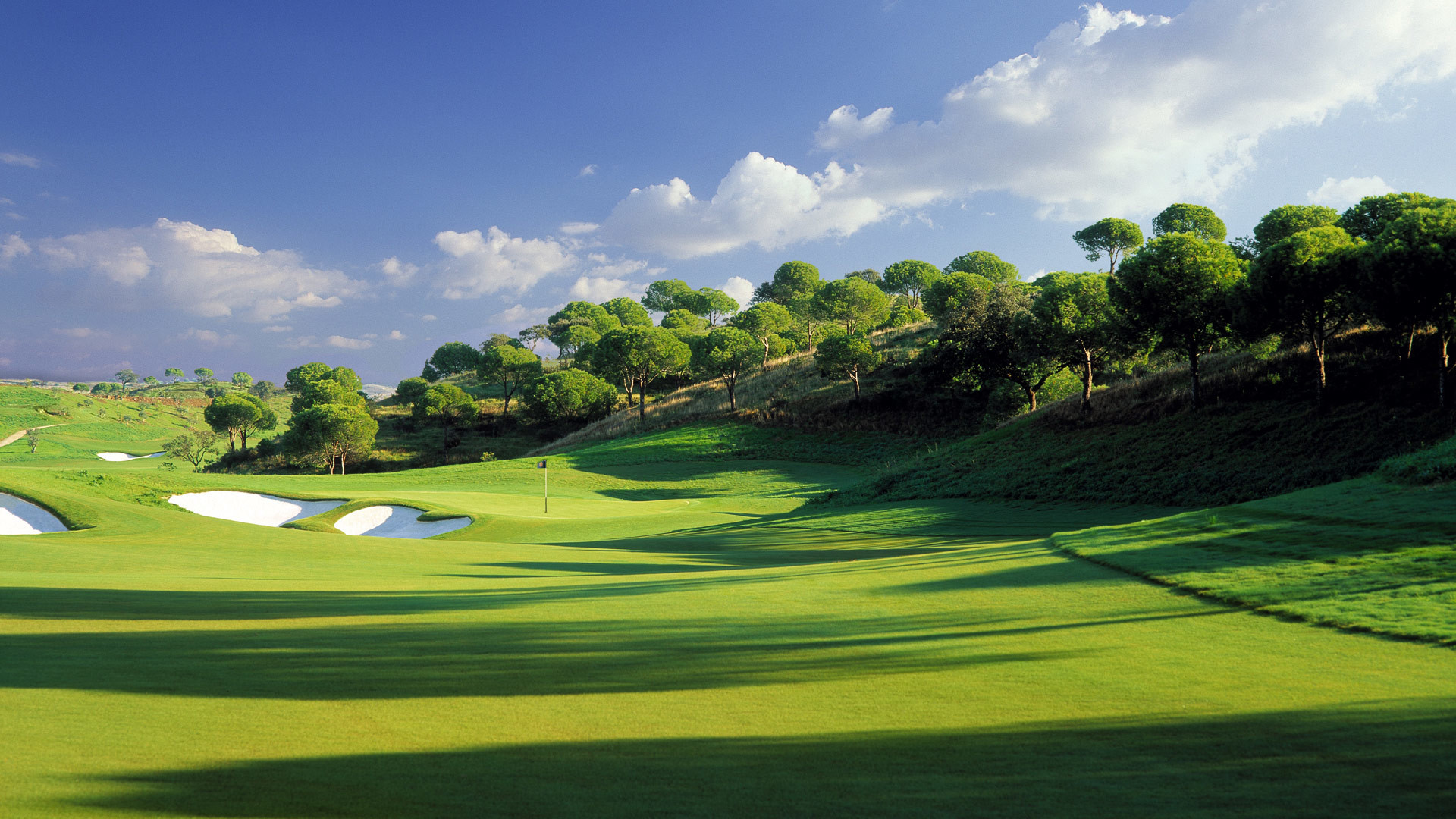 Campo da golf, Prato, Alberi, Cielo, Full HD, sfondo Windows 11