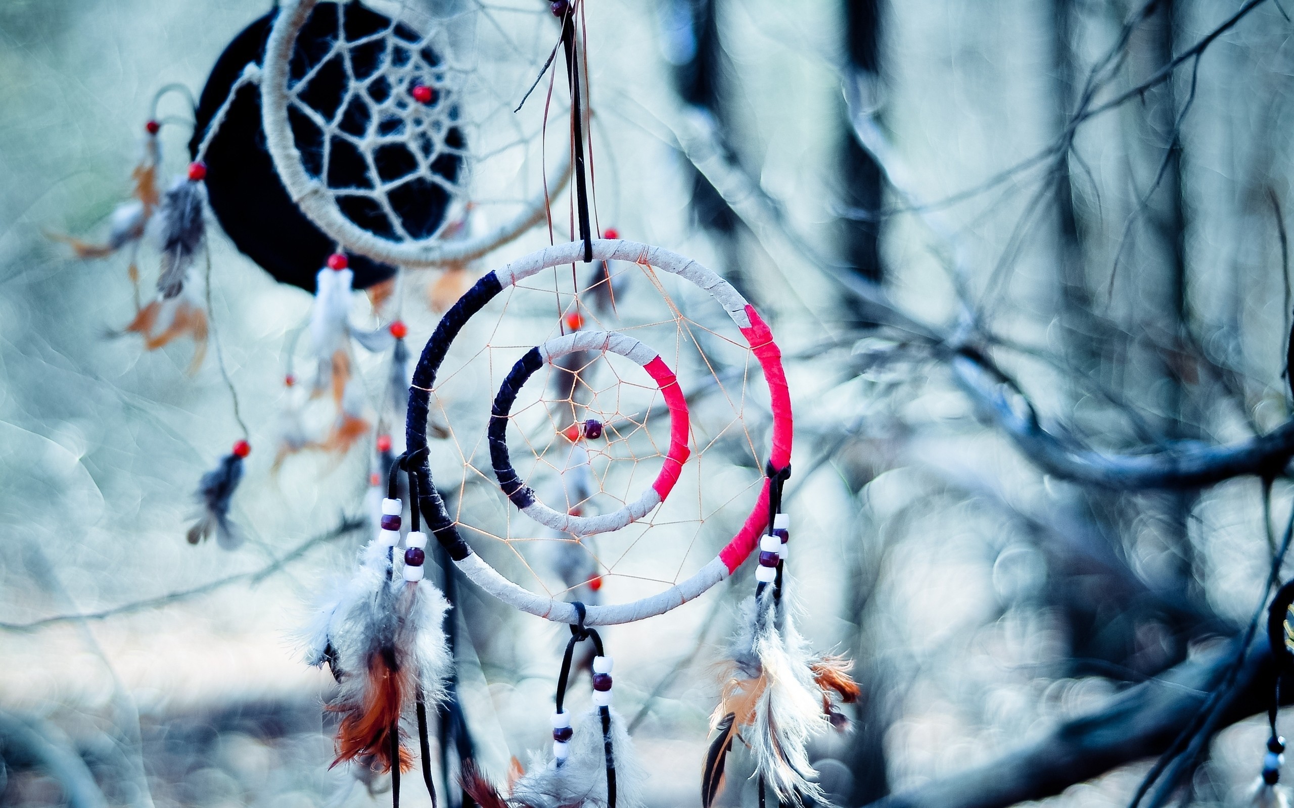 Acchiappasogni, Inverno, Piume, Bokeh, 2K, wallpaper desktop