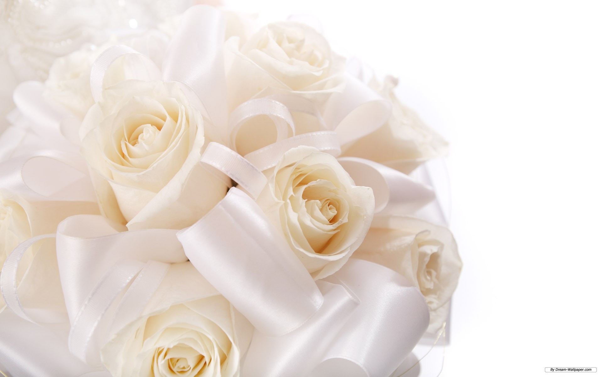 Bouquet da sposa, Rose bianche, Nastri, Bianco, Full HD, sfondo per PC