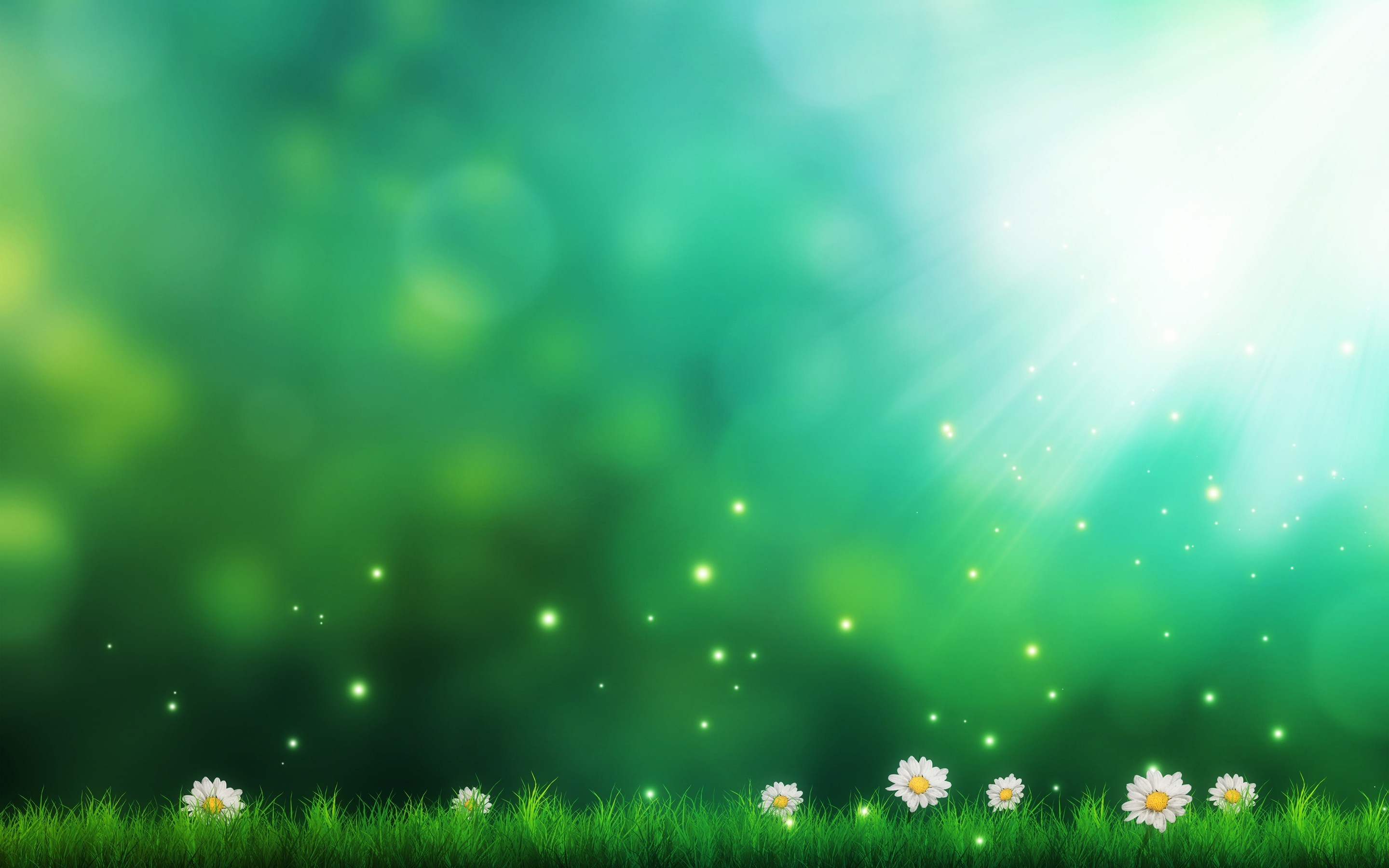 Bokeh, Margherite, Raggi di luce, Verde, 2K, sfondo per PC