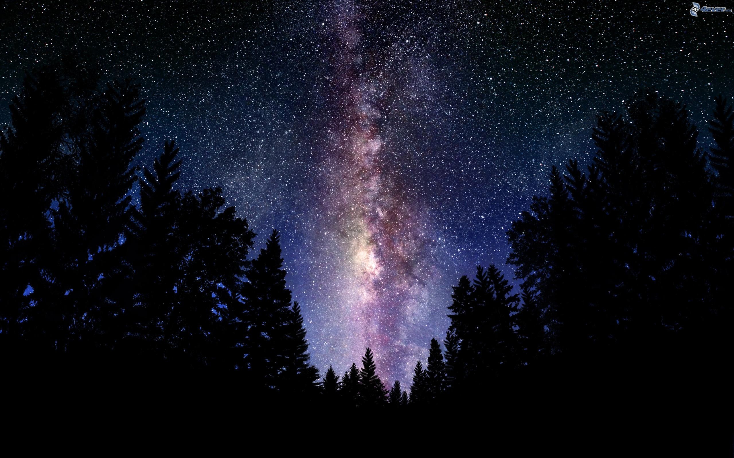 Via Lattea, Foresta, Pini, Notte, 2K, sfondo per PC