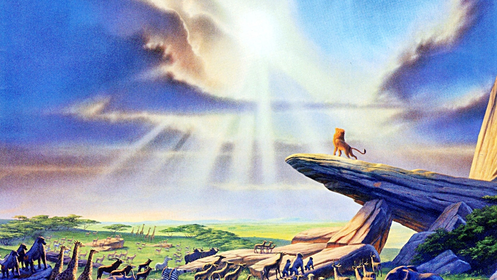 Il Re Leone, Simba, Rupe dei Re, Raggi di sole, Full HD, sfondo desktop