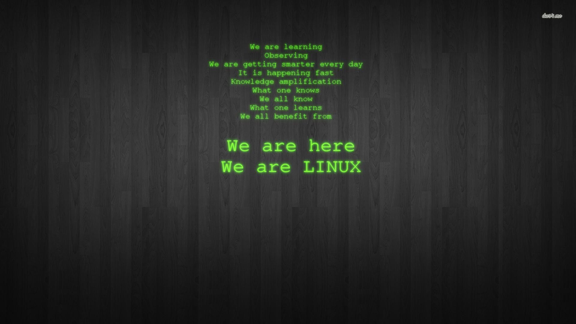 Linux, Testo, Codice verde, Legno scuro, 1920x1080, immagine di sfondo
