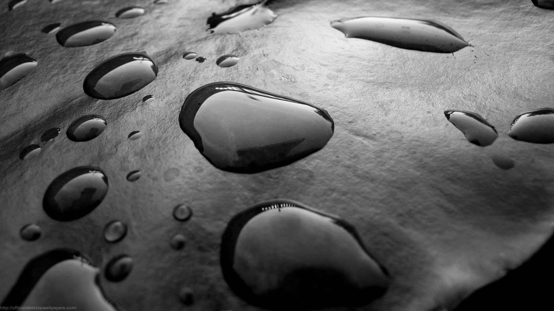 Gocce d'acqua, Macro, Bianco e nero, Full HD, sfondo Windows 11