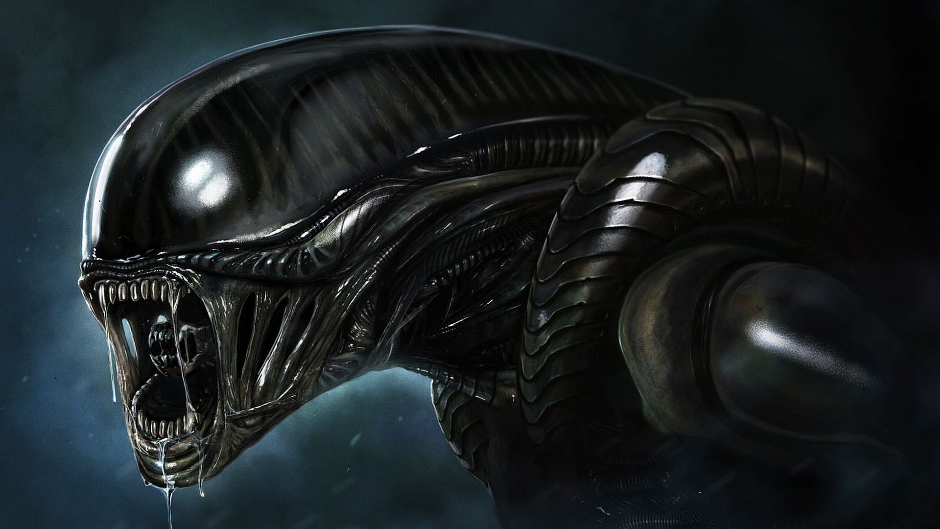 Xenomorfo, Alien, Testa, Bava, Horror, Full HD, sfondo per PC e portatile
