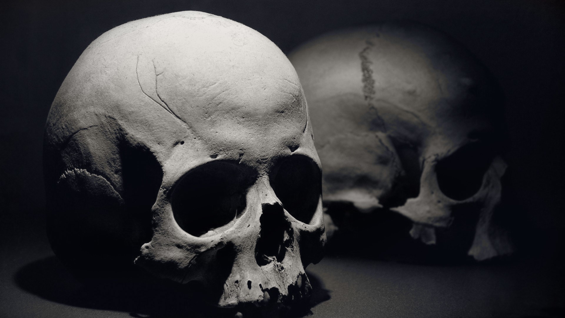 Teschi umani, Natura morta, Bianco e nero, Luce drammatica, Full HD, sfondo per PC e portatile