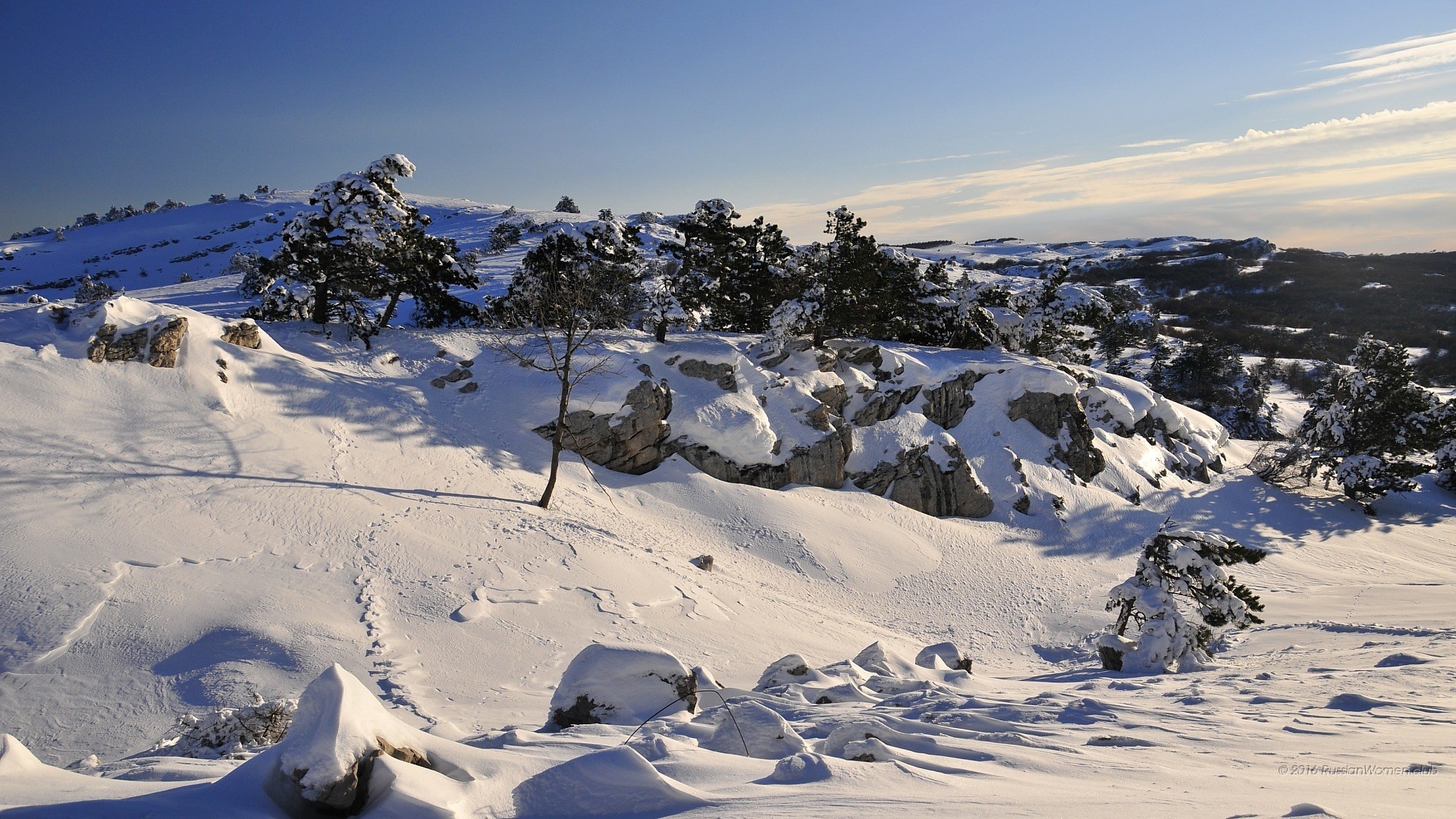 Neve, Inverno, Montagna, Alberi, Paesaggio, sfondo per smartphone