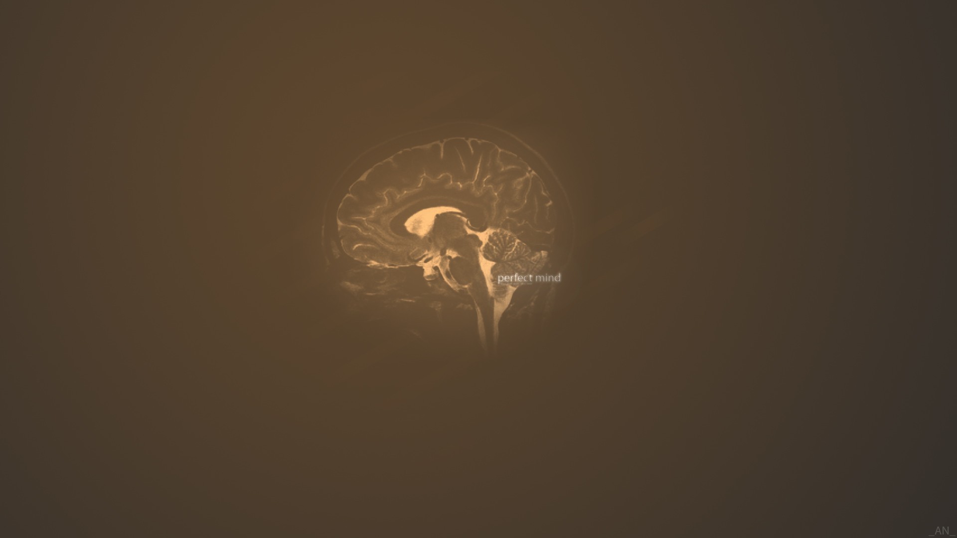 Cervello, Sezione sagittale, Anatomia, Marrone, 16:9 Full HD, sfondo widescreen