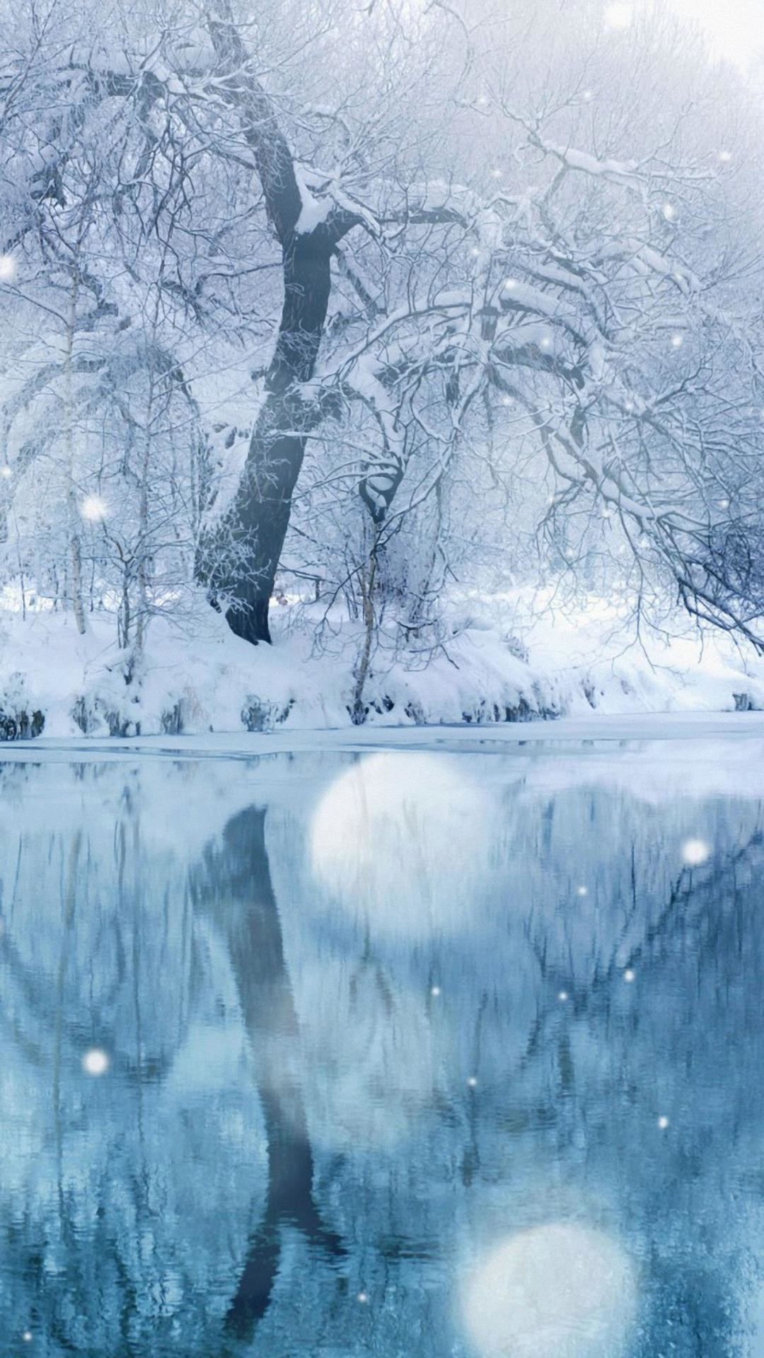 Alberi innevati, Lago, Riflesso, Nevicata, sfondo per iPhone e Android