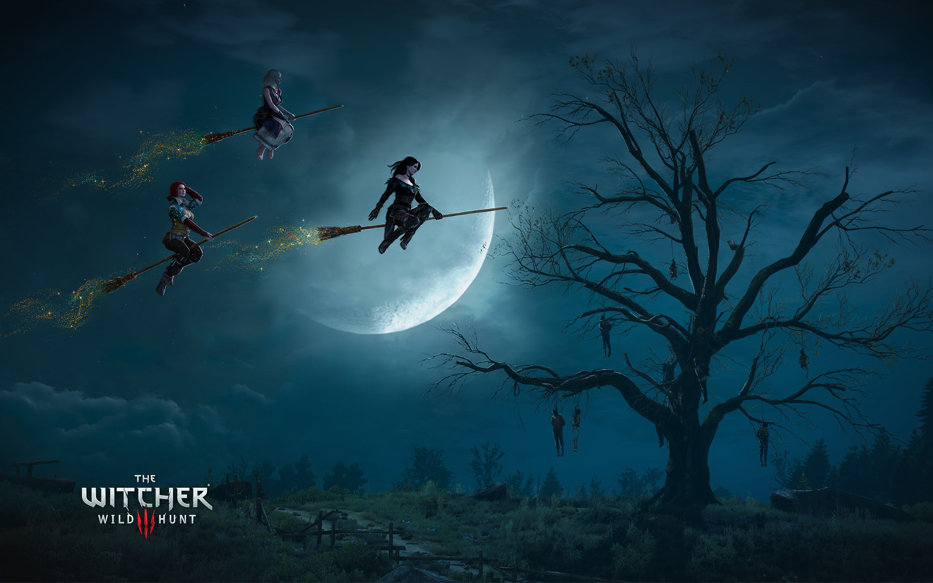 Streghe del Crookback Bog, The Witcher 3: Wild Hunt, Luna, Notte, Scope, sfondo desktop Full HD