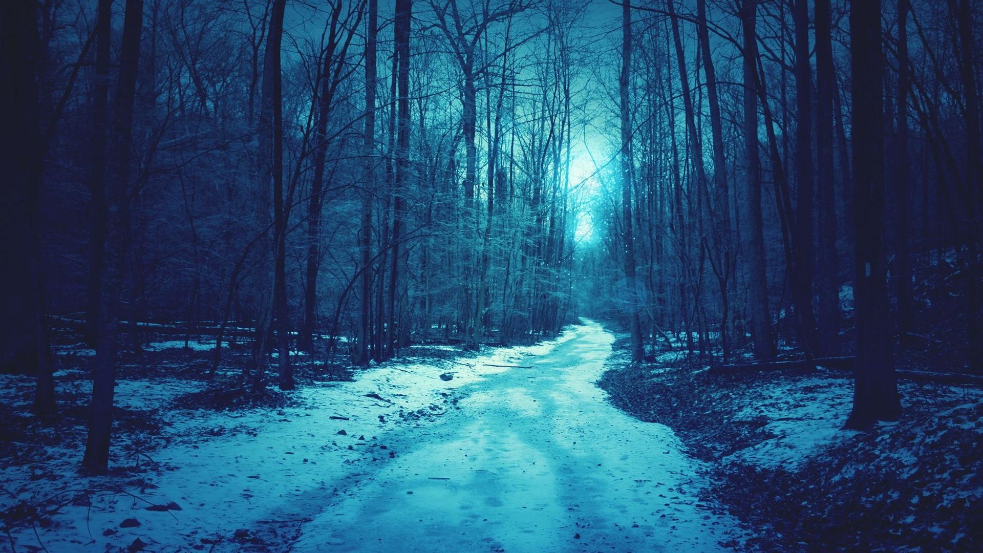 Sentiero, Bosco, Notte, Turchese, Full HD 1080p, sfondo desktop