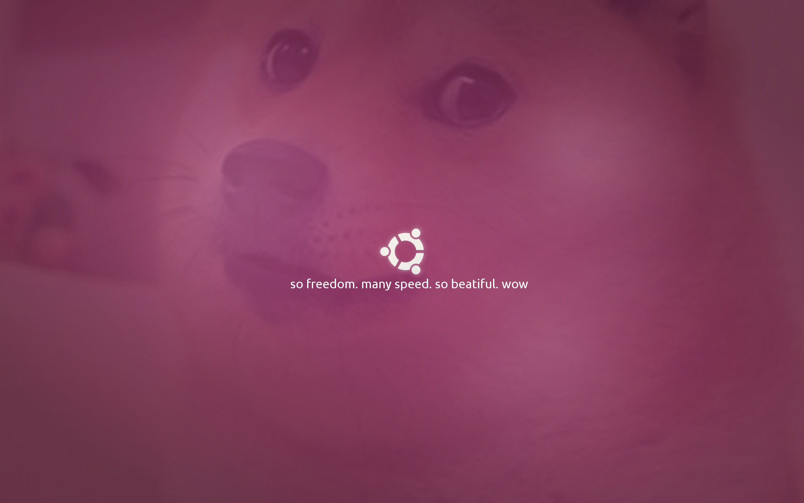 Doge, Ubuntu, Logo, Parodia, Magenta, 2K, sfondo per PC