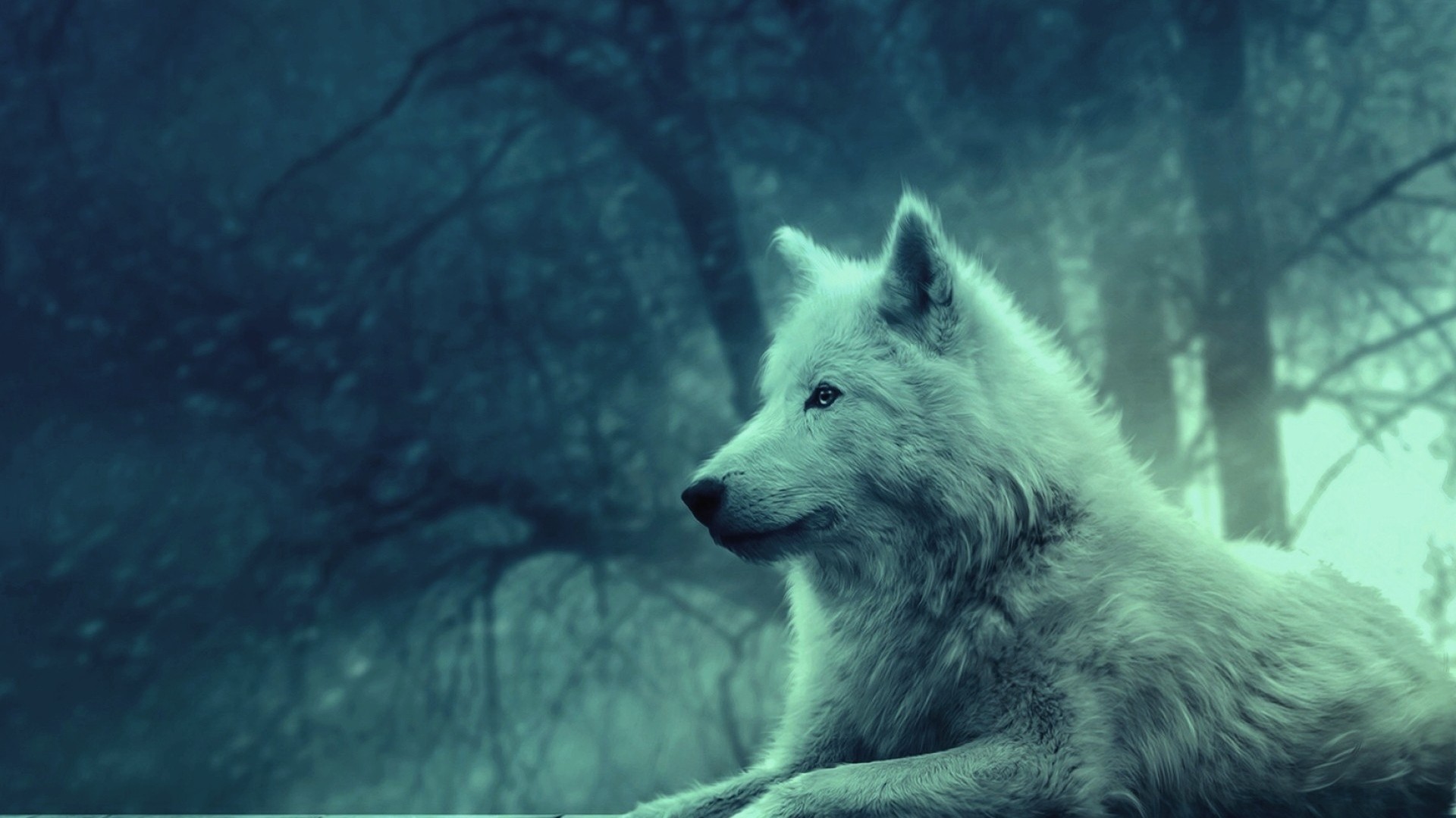 Lupo bianco, Foresta, Nebbia, Arte digitale, Full HD, wallpaper desktop