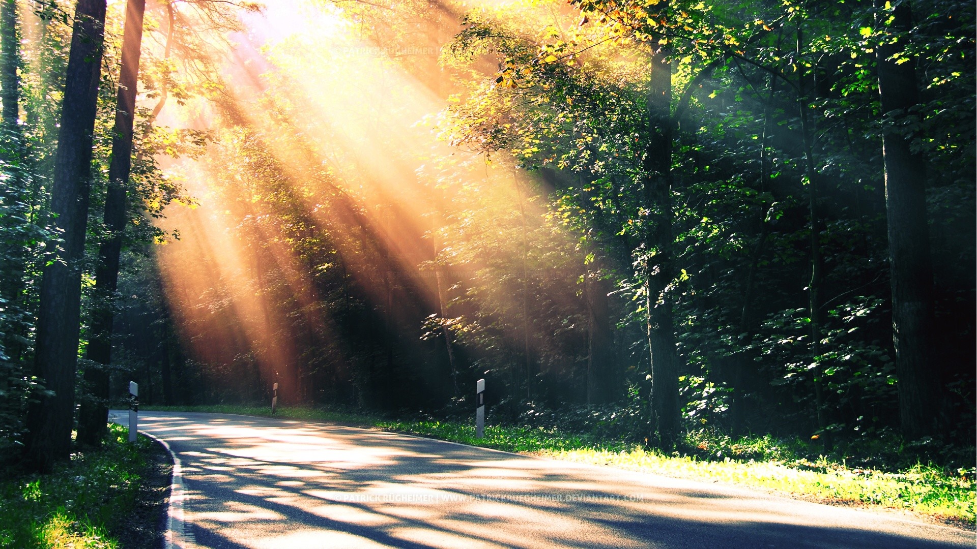 Strada, Bosco, Raggi di sole, Alberi, Full HD, sfondo desktop