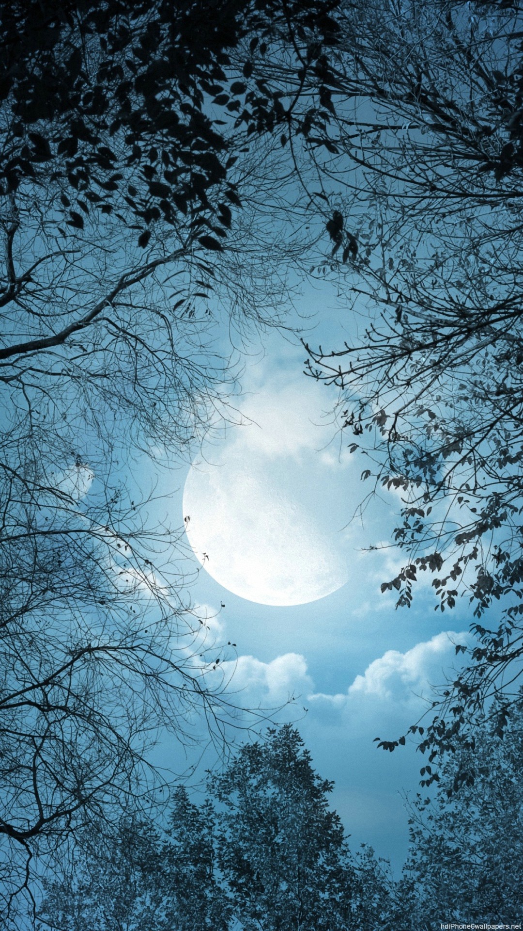 Luna piena, Notte, Rami, Alberi, Cielo blu, schermata Home iPhone 6S