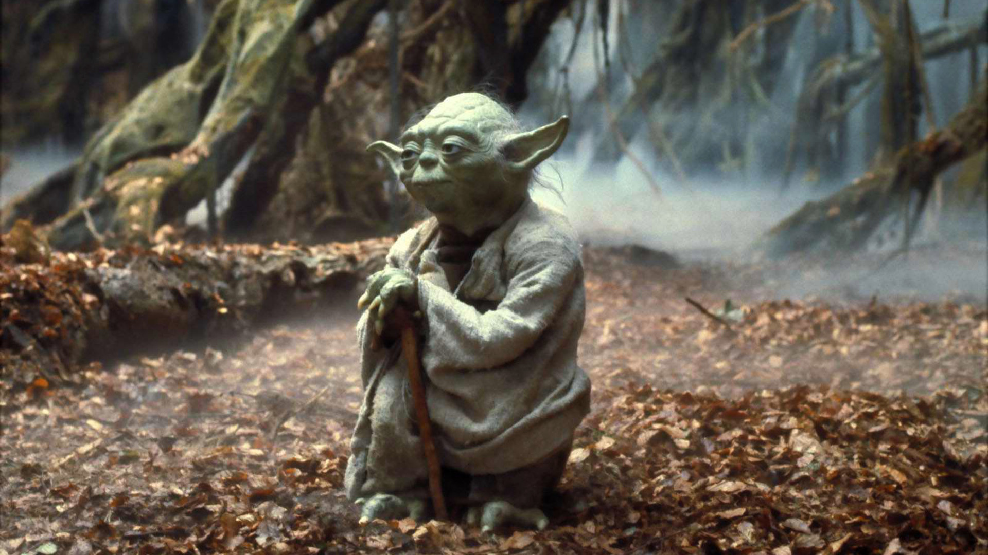 Yoda, Dagobah, Bastone, Foresta, Full HD 1080p, sfondo desktop