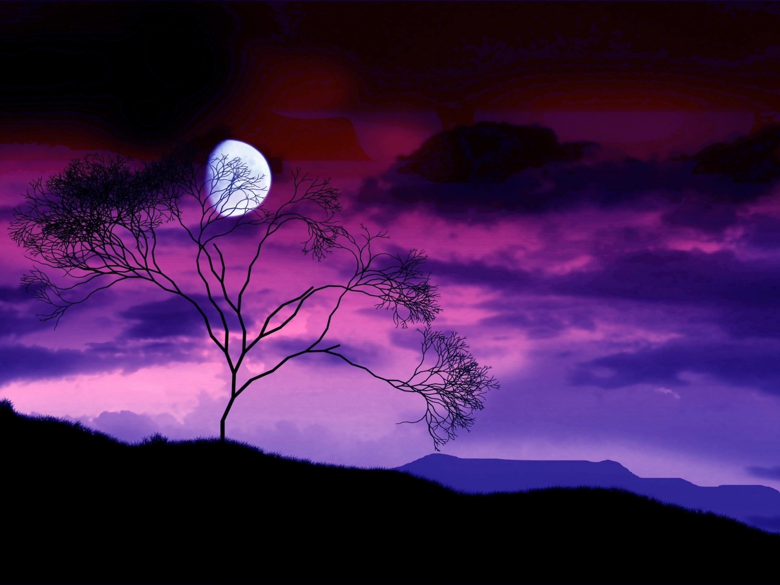 Luna piena, Albero, Cielo viola, Silhouette, 2K, sfondo per iPad e tablet