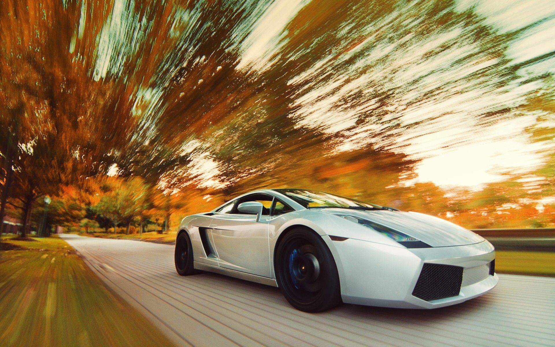 Lamborghini Gallardo, Bianco, Mosso, Autunno, 1920x1200, sfondo MacBook Pro