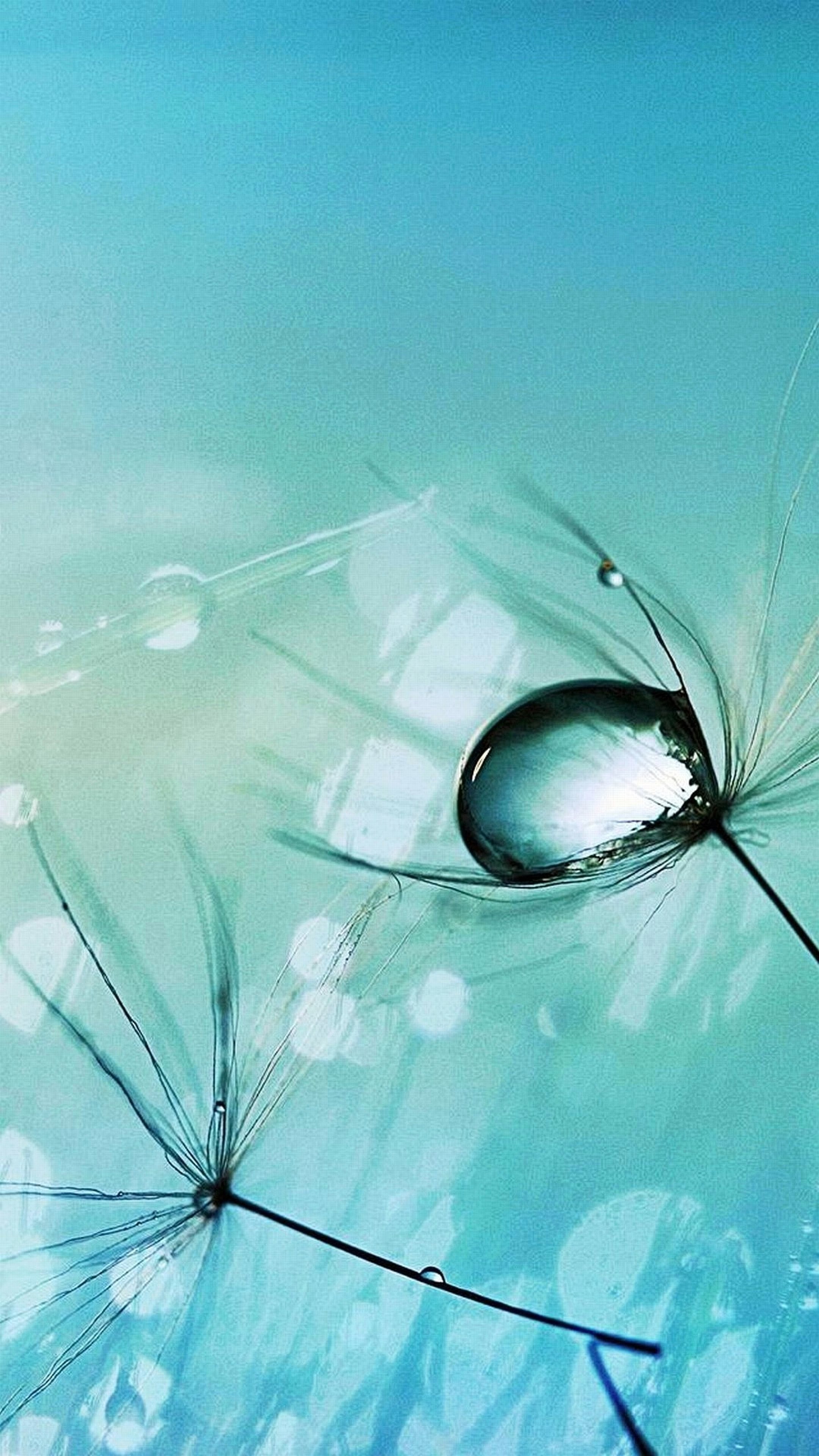 Goccia d'acqua, Soffione, Macro, Azzurro, wallpaper per iPhone e Android