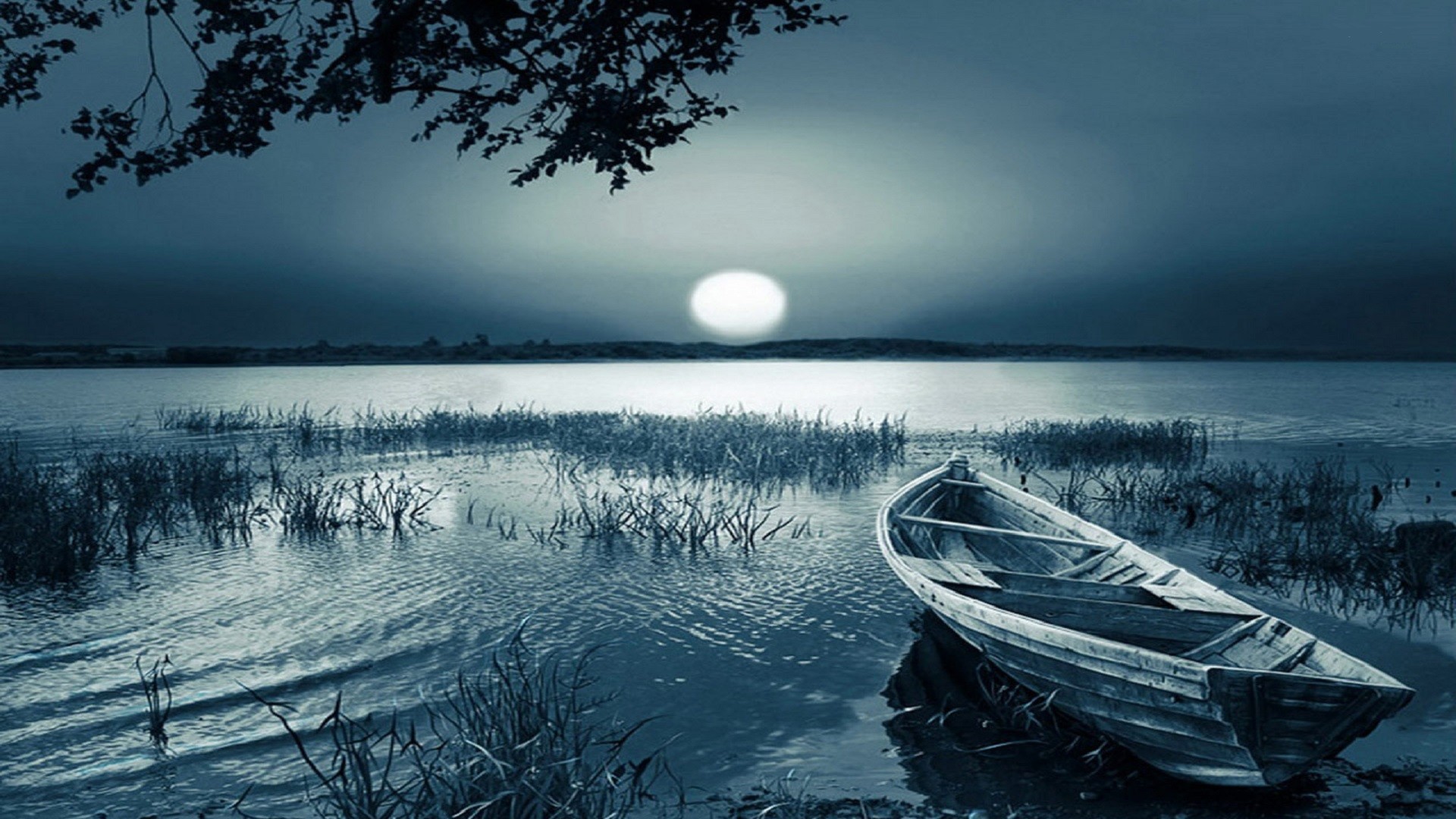 Barca, Lago, Luna, Notte, Canne, Full HD, sfondo per desktop