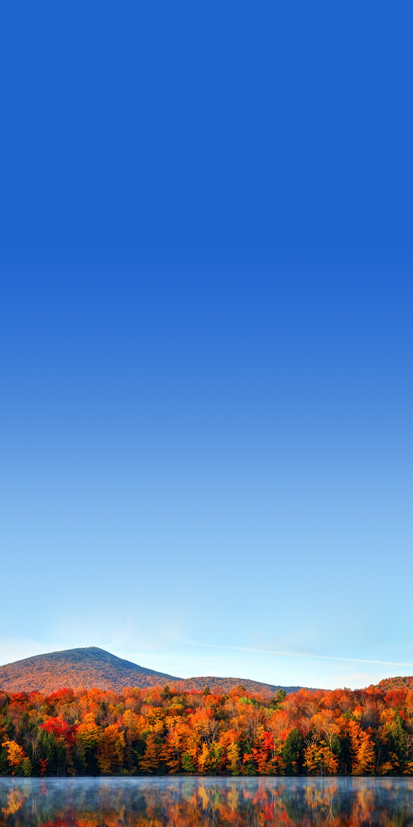 Cielo blu, Foresta autunnale, Lago, QHD+, sfondo per smartphone
