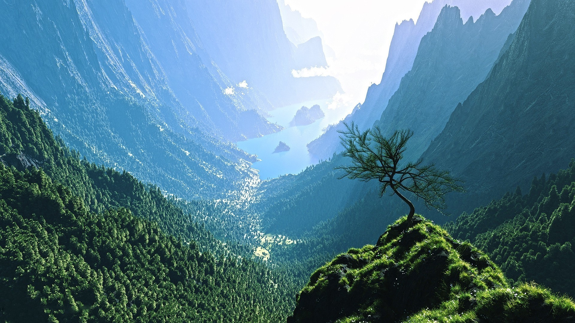 Valle, Montagne, Foresta, Albero, Full HD, immagine di sfondo PC