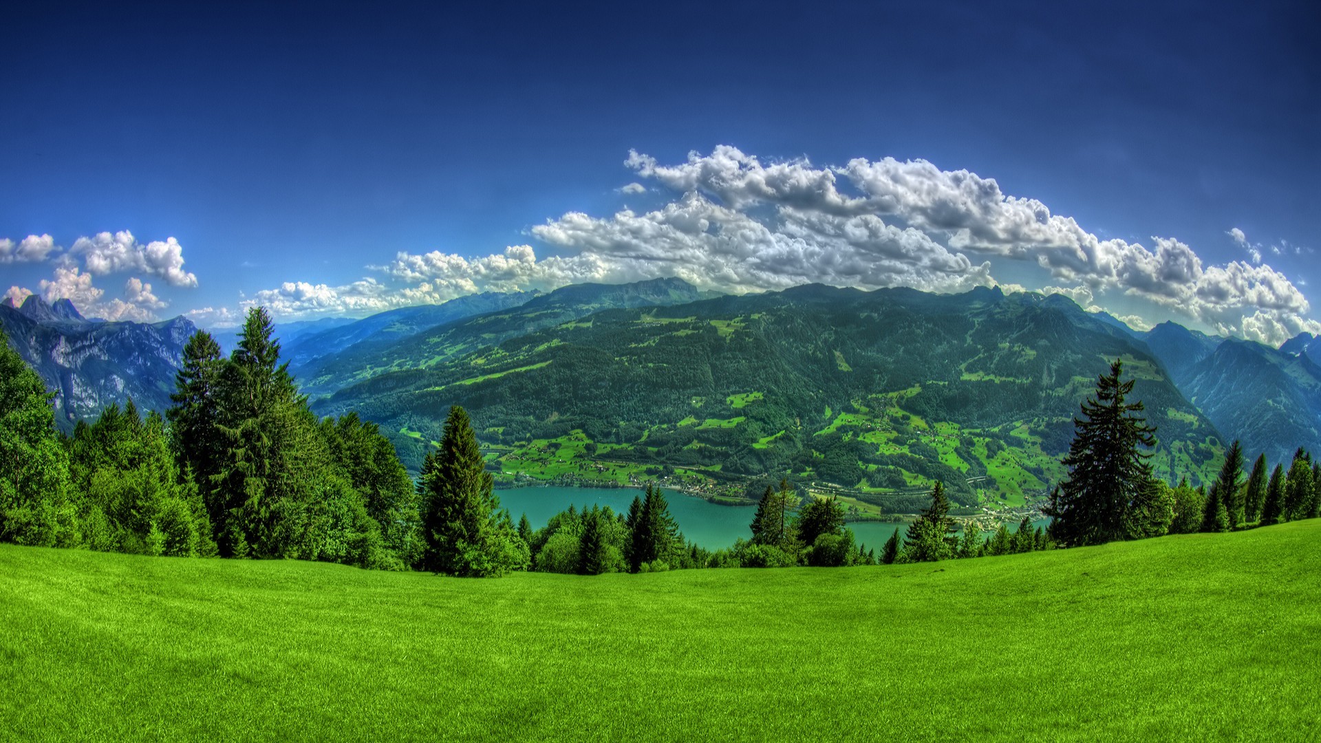 Walensee, Svizzera, Prato, Montagne, Abeti, Full HD, sfondo Windows 11