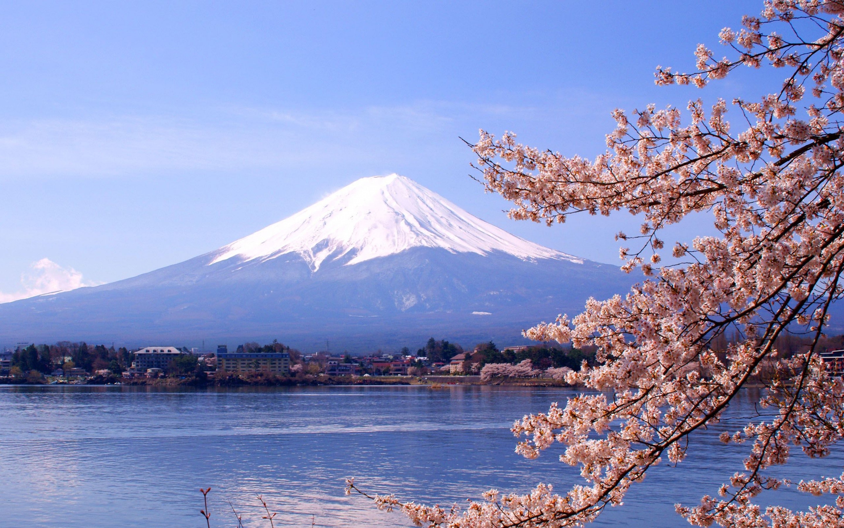 Monte Fuji, Lago Kawaguchi, Ciliegi in fiore, Giappone, 2880x1800, sfondo per PC