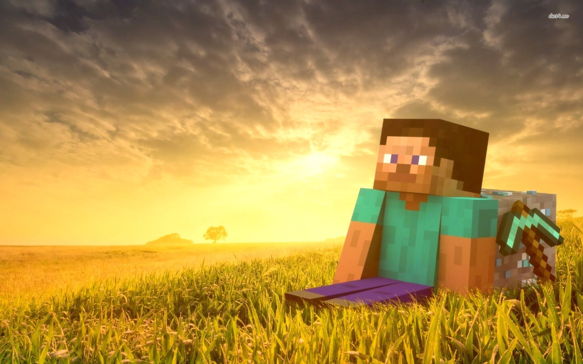 Steve, Minecraft, Campo di grano, Tramonto, 16:10 Full HD, sfondo widescreen
