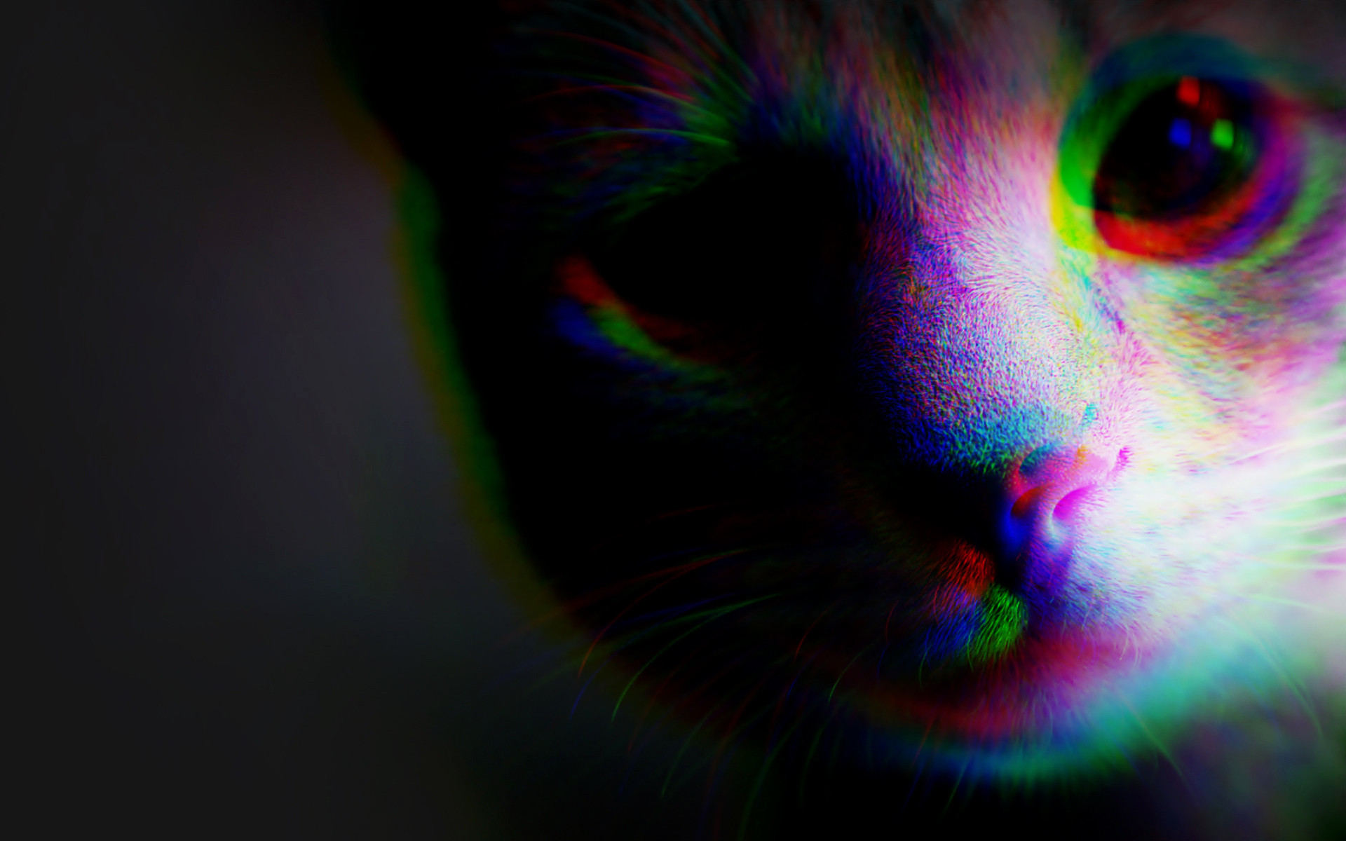 Gatto, Aberrazione cromatica, Effetto glitch, Sfondo nero, Full HD, wallpaper per portatile
