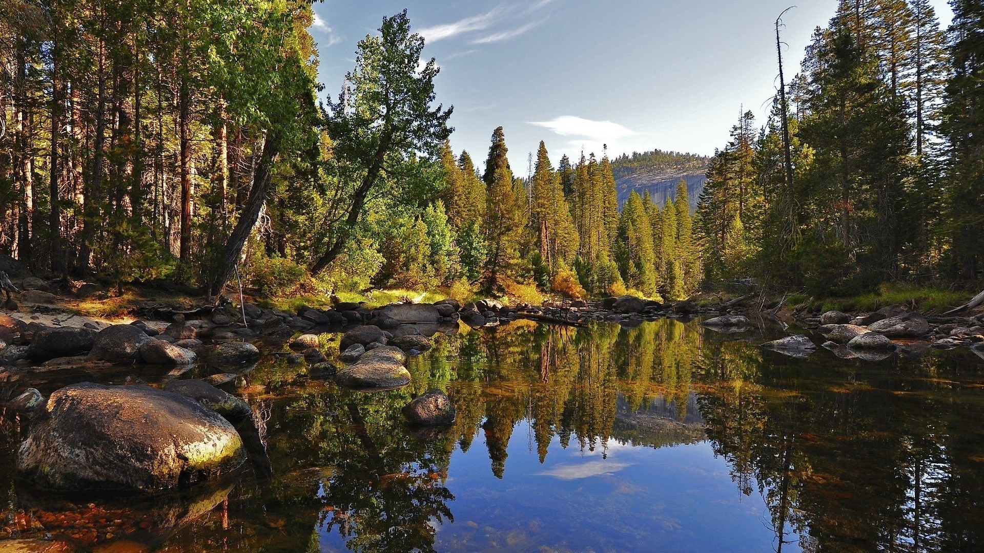 Fiume, Rocce, Riflesso, Pineta, Cielo, 16:9 Full HD, sfondo widescreen