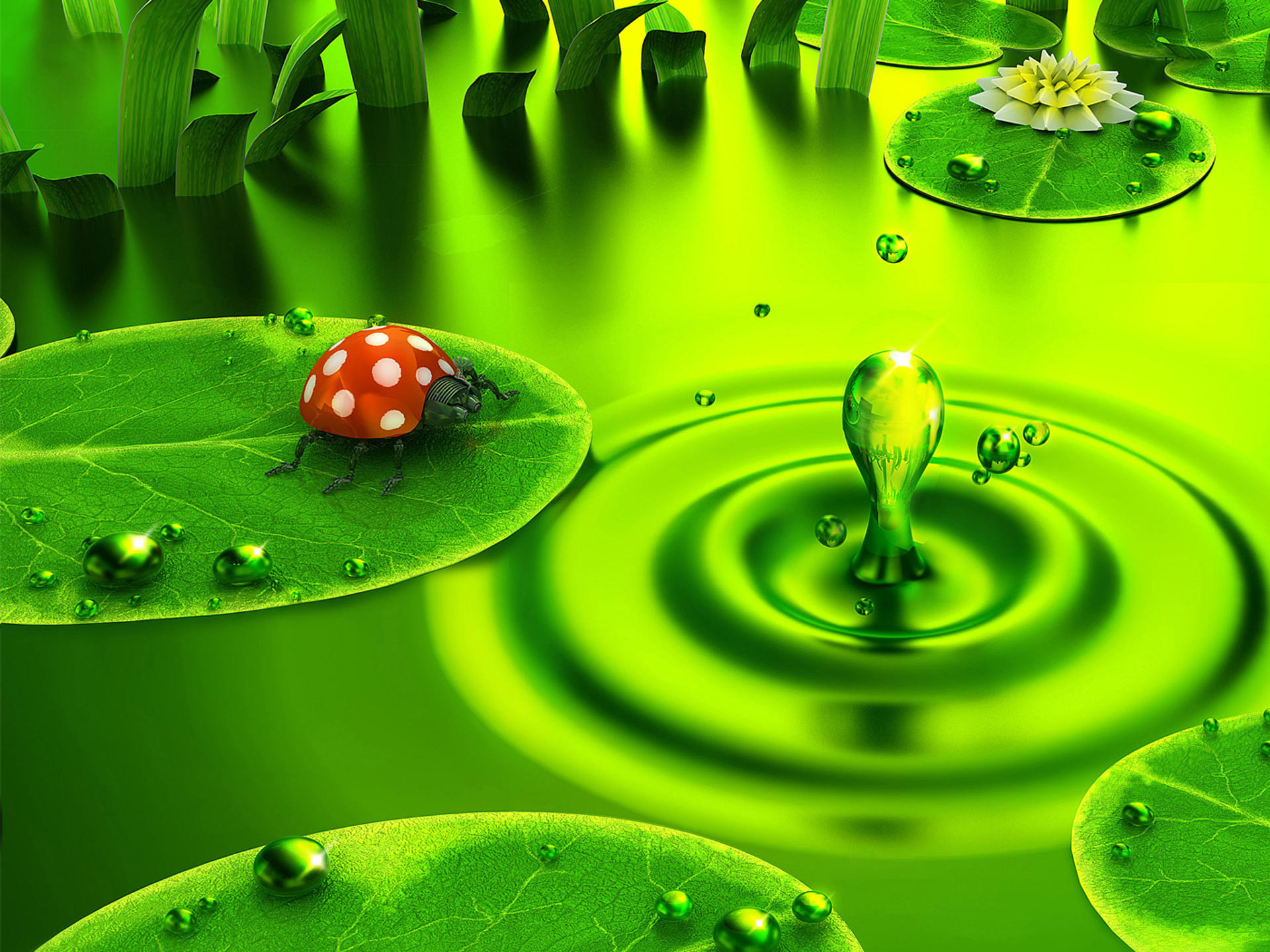 Coccinella, Ninfee, Goccia d'acqua, Rendering 3D, Full HD, sfondo per il tuo desktop