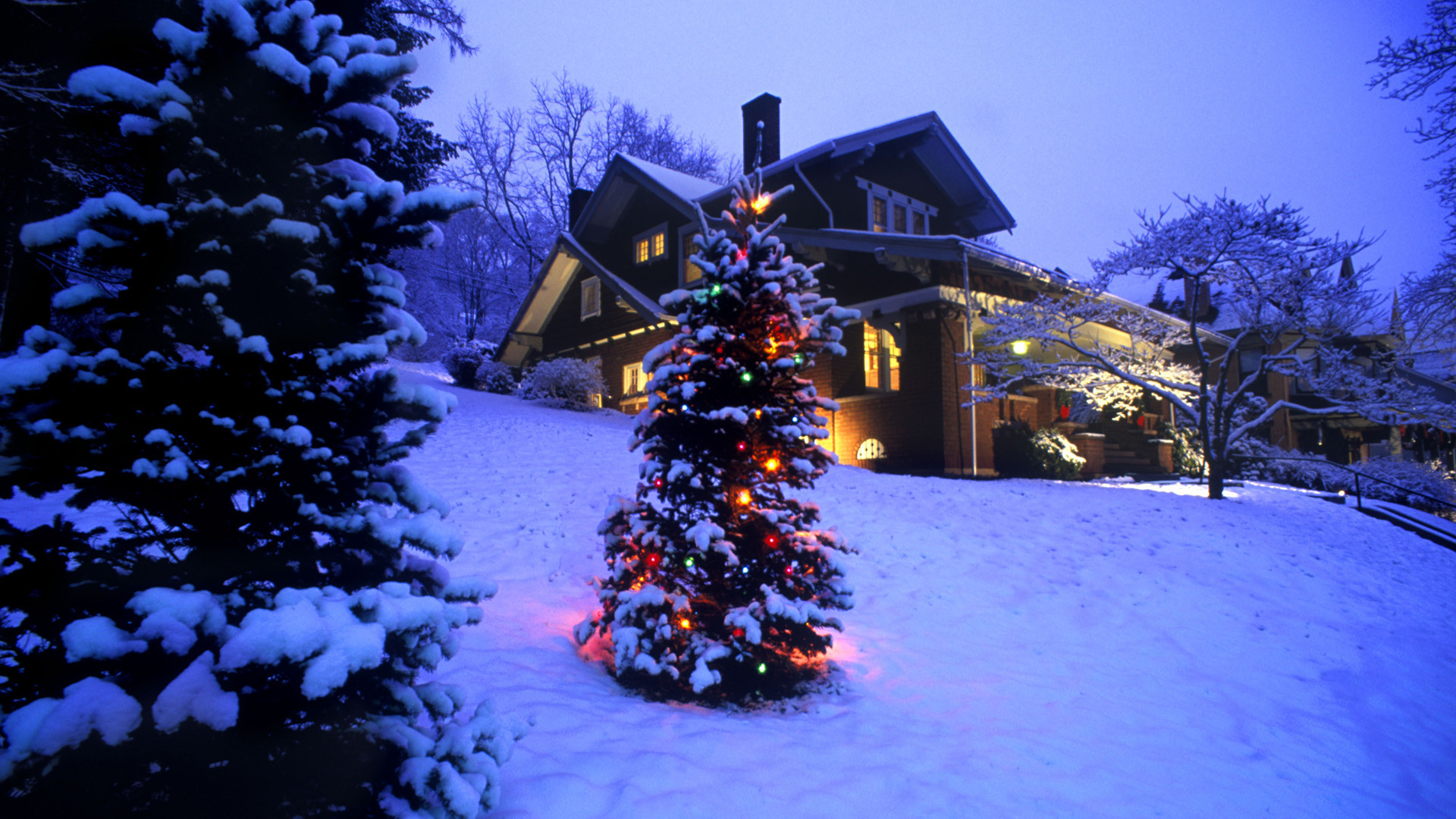 Albero di Natale, Casa innevata, Luci, Crepuscolo, Full HD, wallpaper per computer