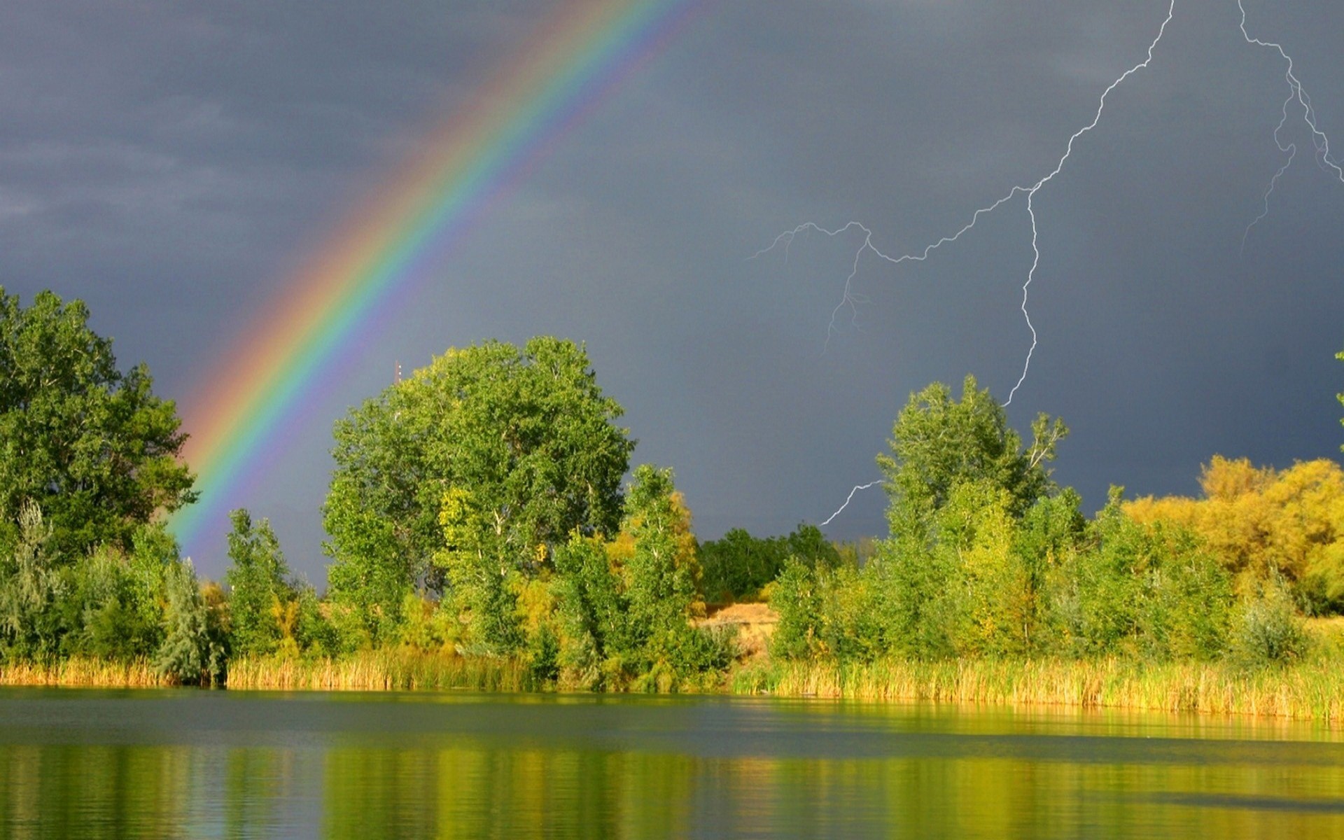 Arcobaleno, Temporale, Fulmine, Lago, Alberi, 16:10 Full HD, sfondo widescreen