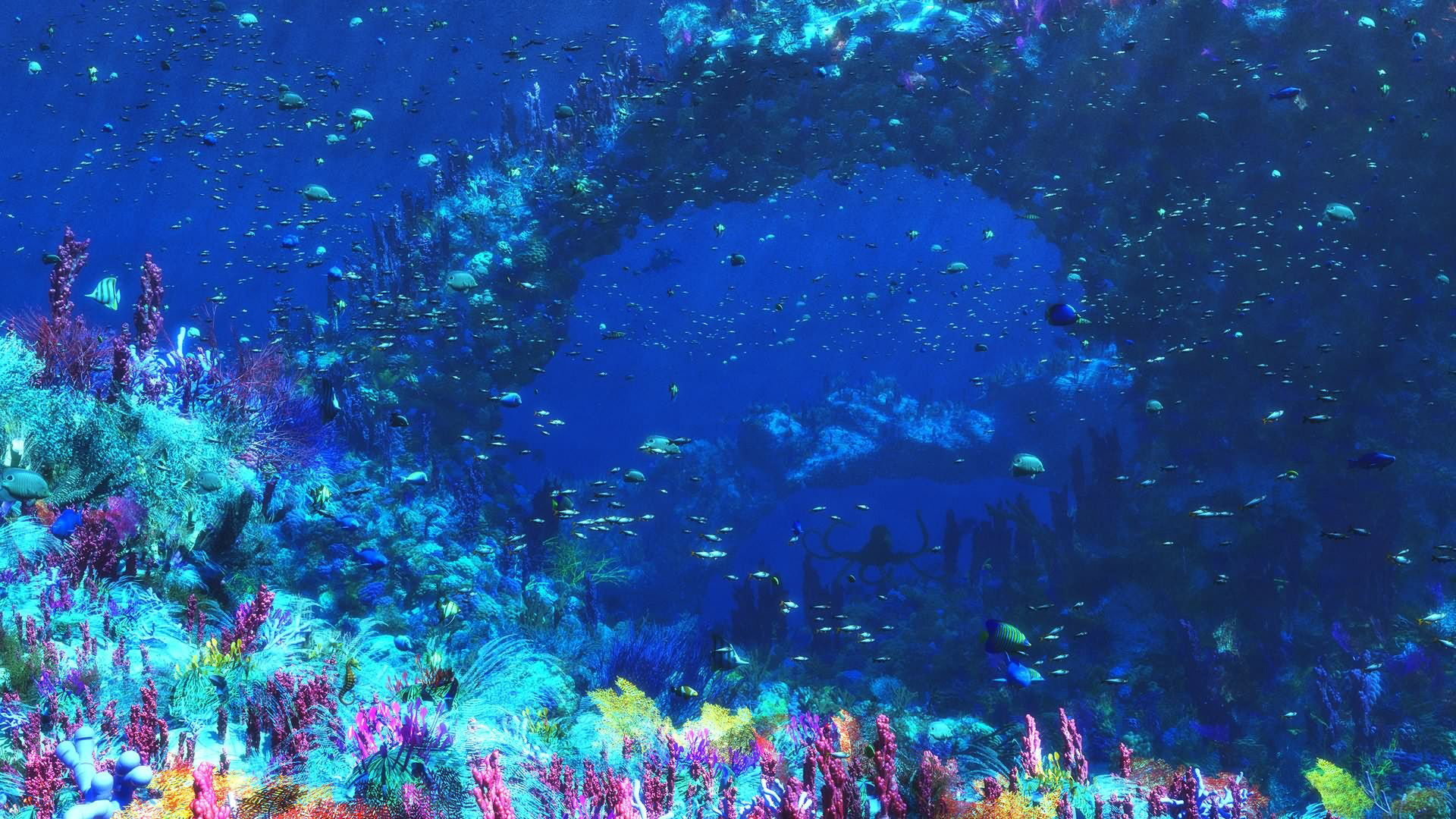 Barriera corallina, Arco di corallo, Pesci, Blu, 1920x1080, wallpaper desktop