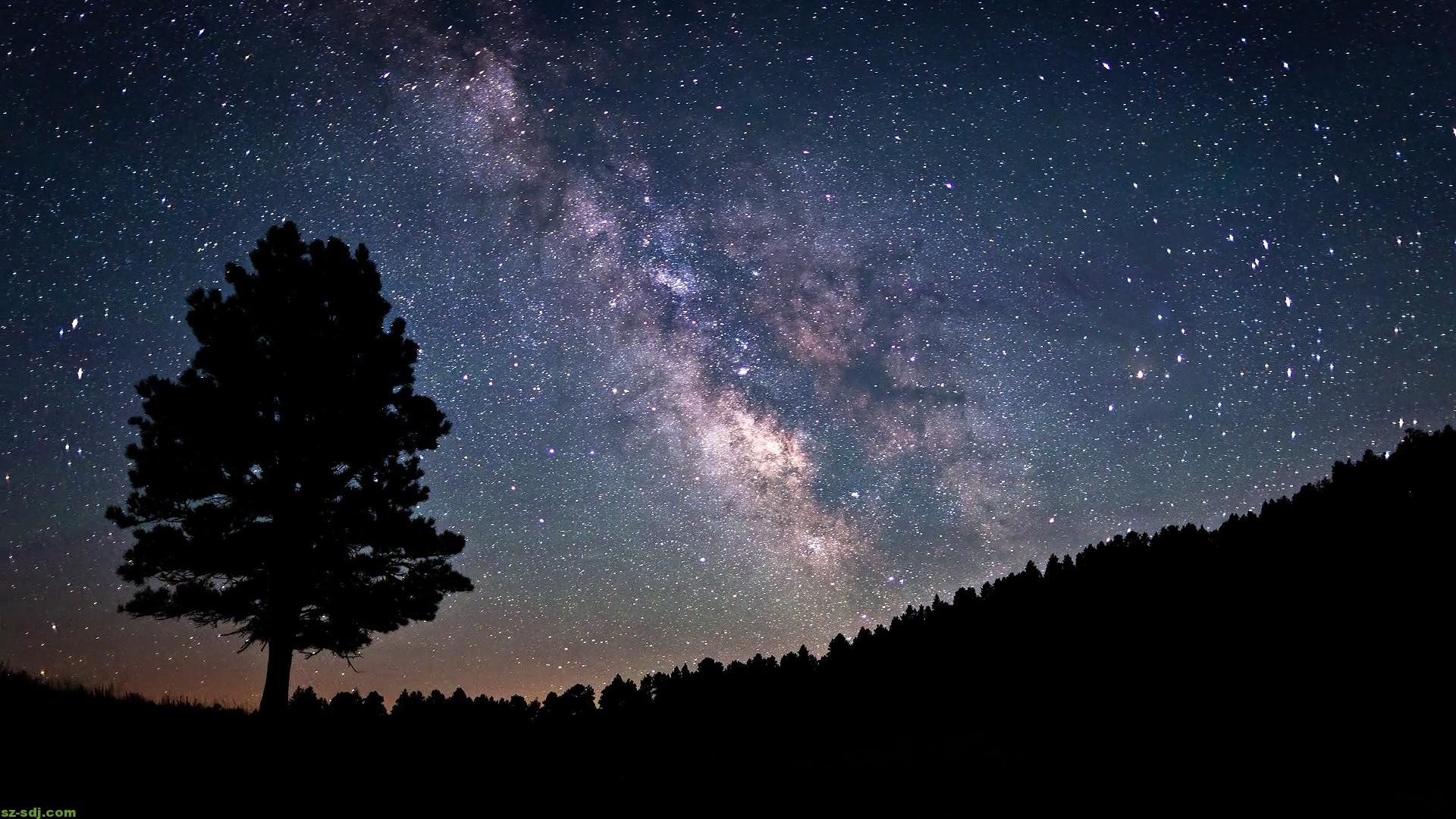 Via Lattea, Albero solitario, Silhouette, Cielo stellato, Full HD, sfondo per PC