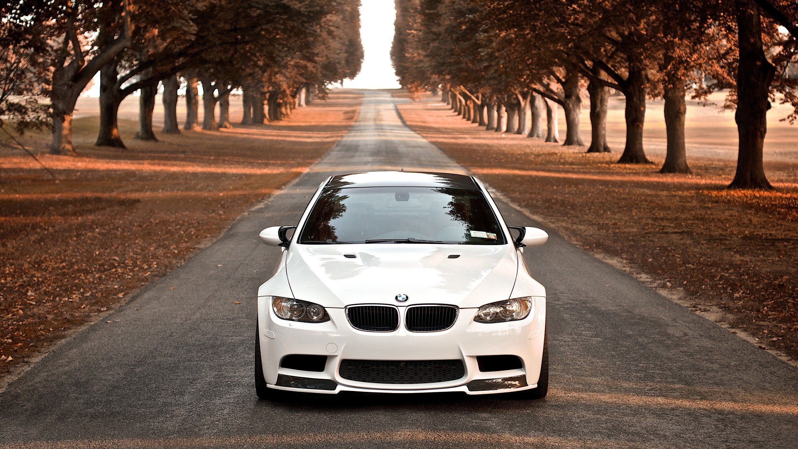 BMW M3 (E92), BMW, Bianco, Viale alberato, Autunno, 16:9 2K, wallpaper widescreen
